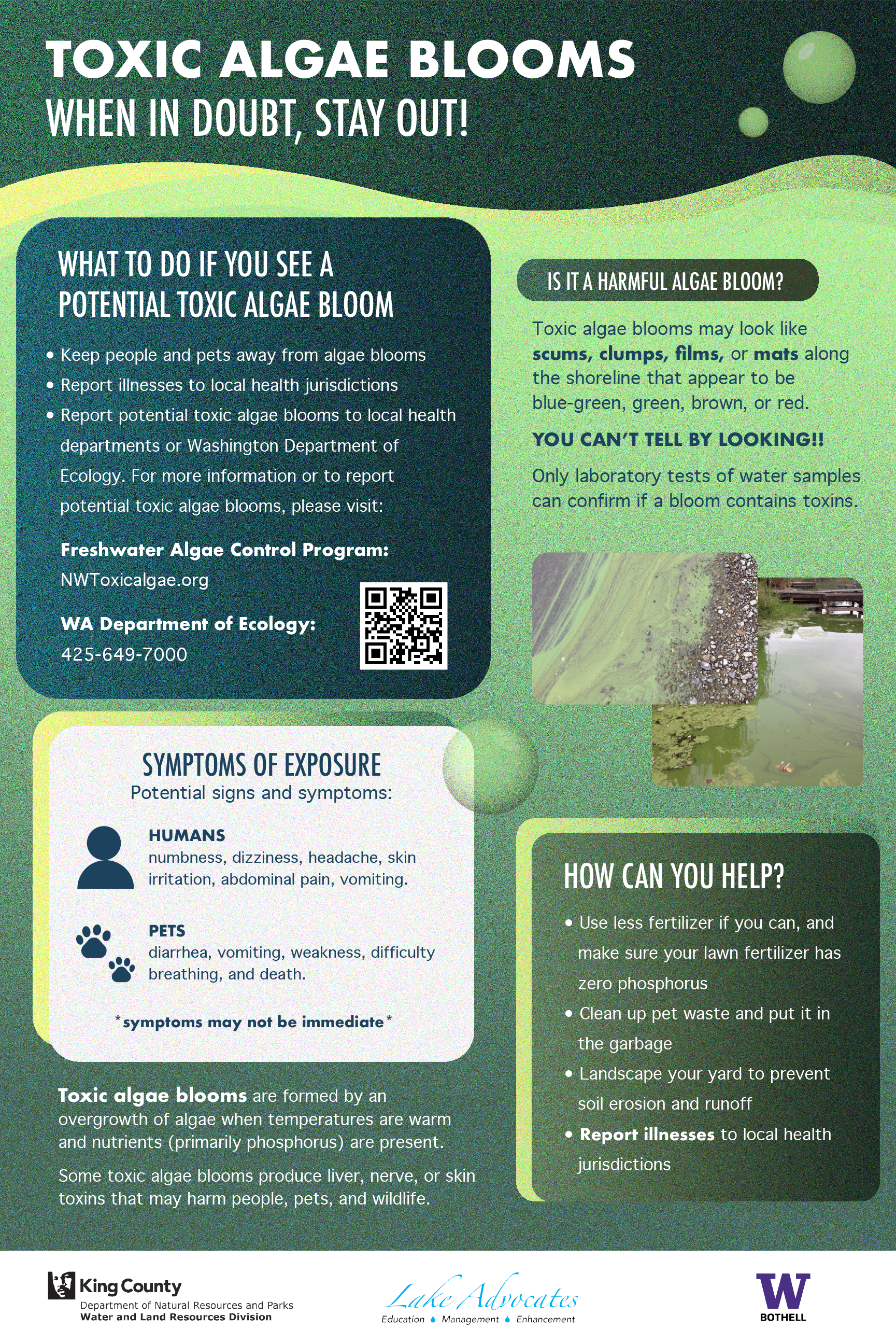 Harmful Algal Blooms