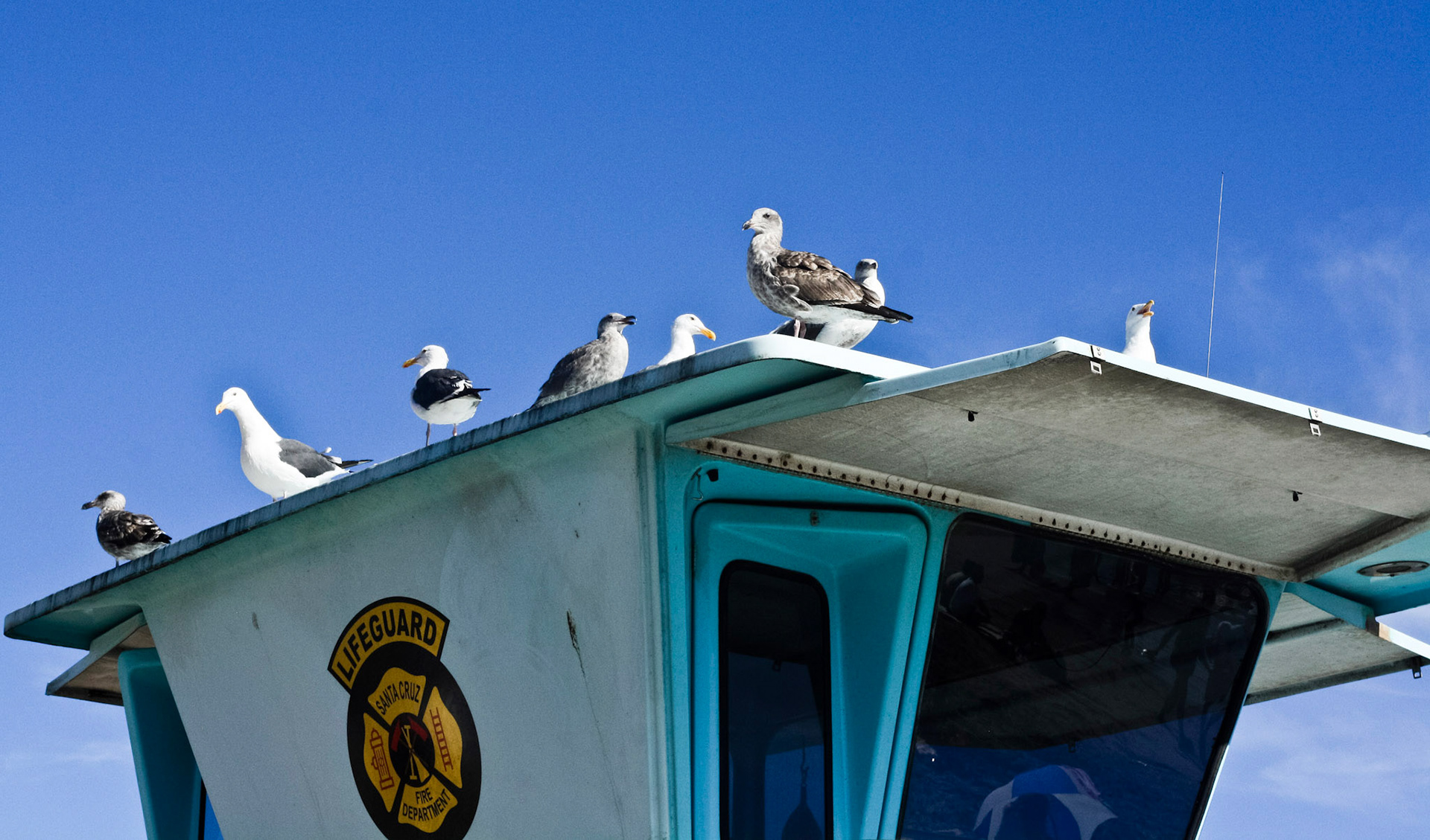 Boardwalk, Santa Cruz