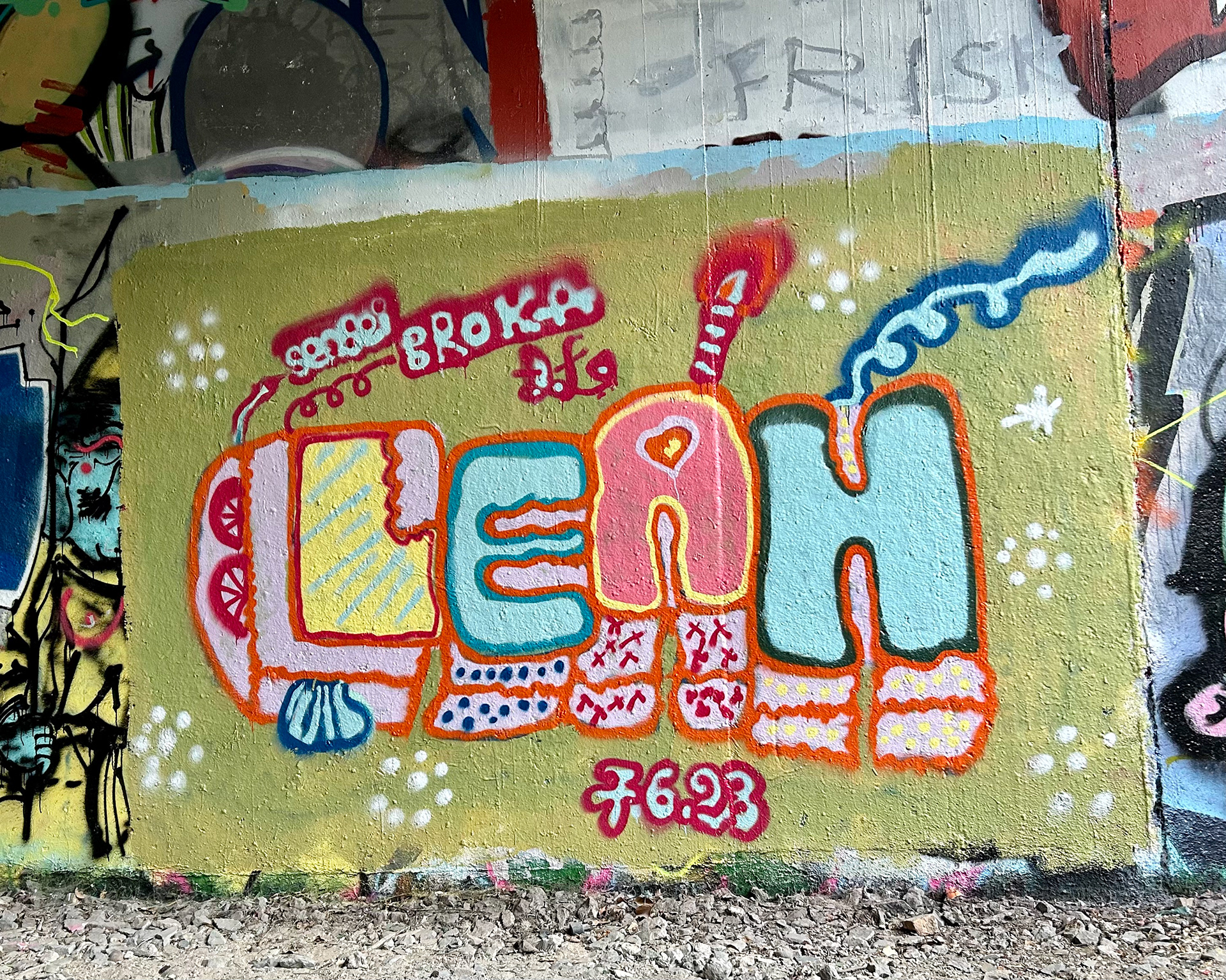Graffiti/Lettering Art at La Petite Ceinture. Spray paint on an abandoned wall. 6x8 feet.