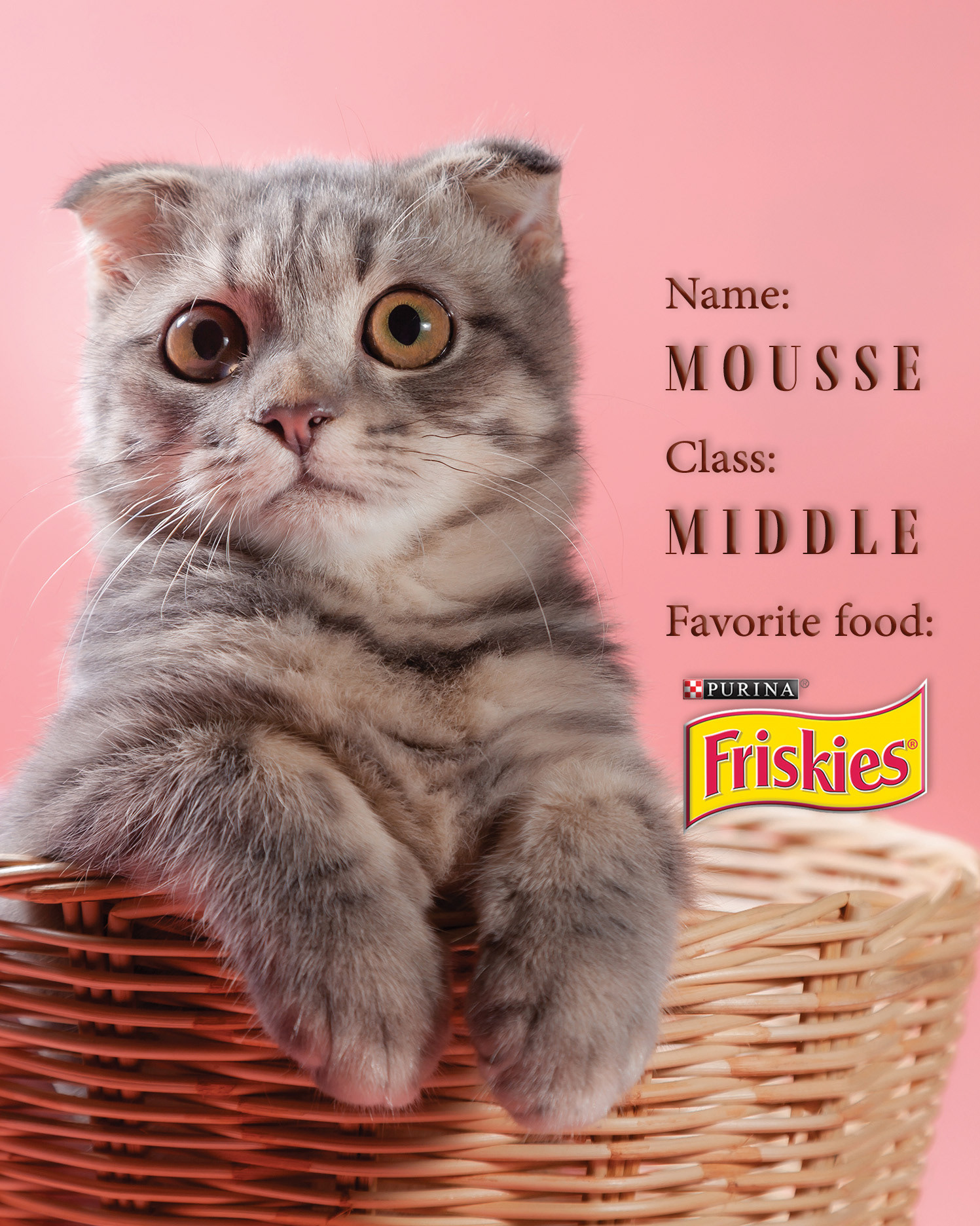 Mousse