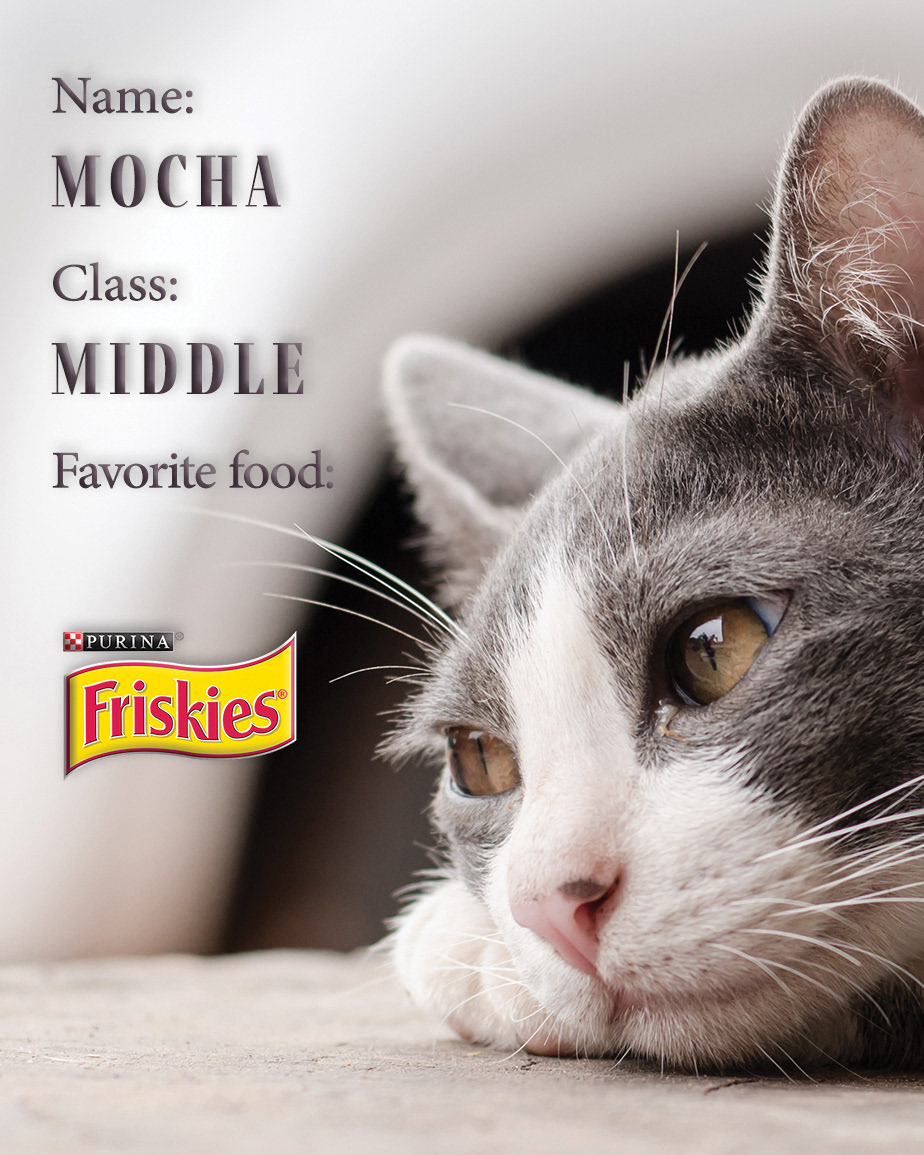 Mocha