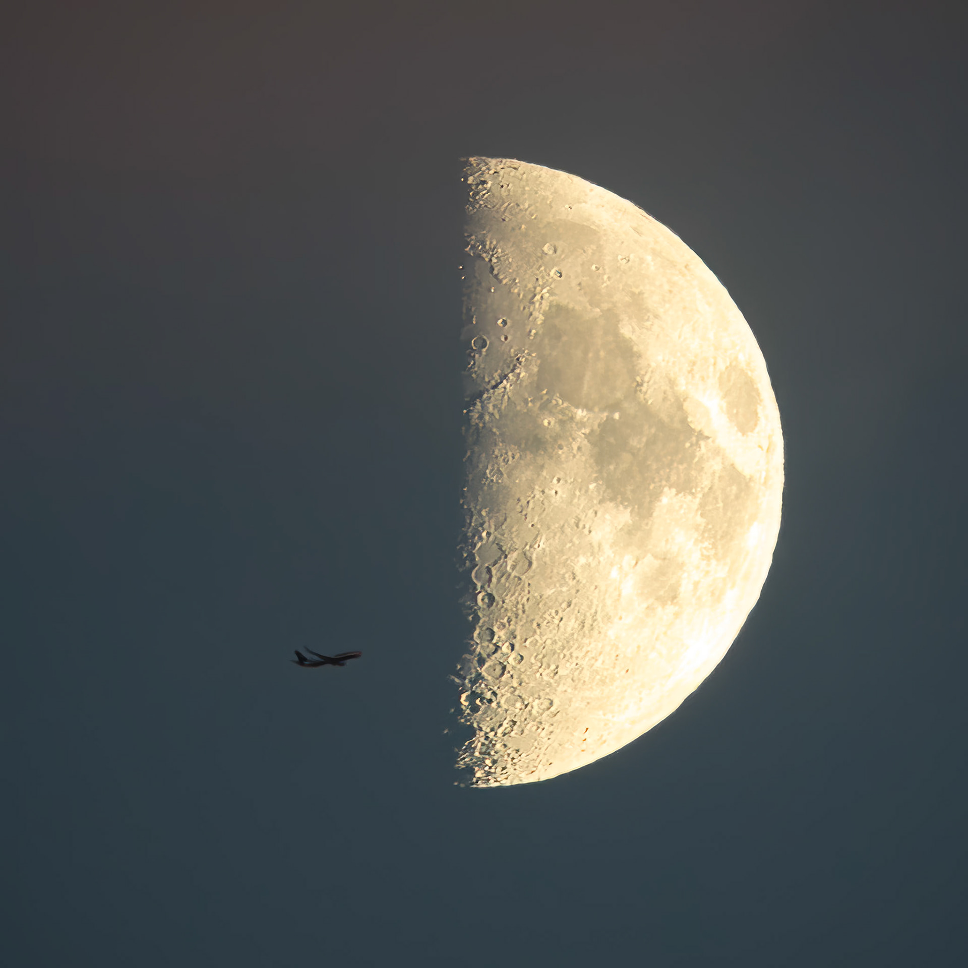 fly me to the moon
