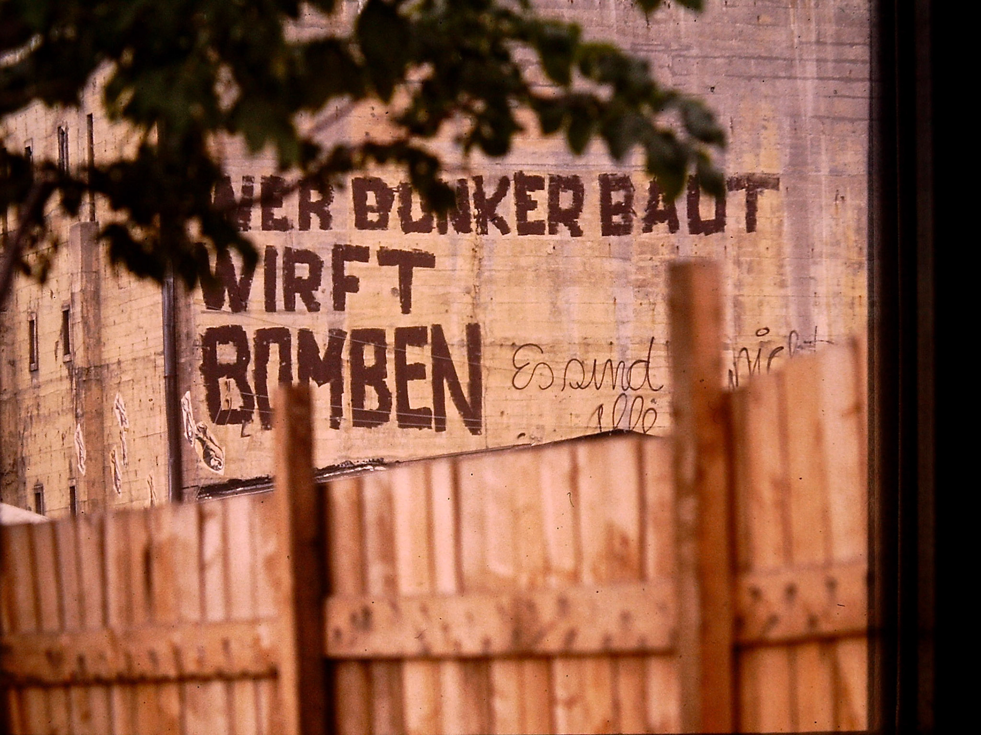 My beautiful picture