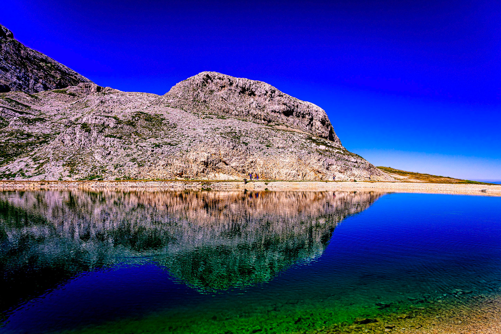 la grande moucherolle