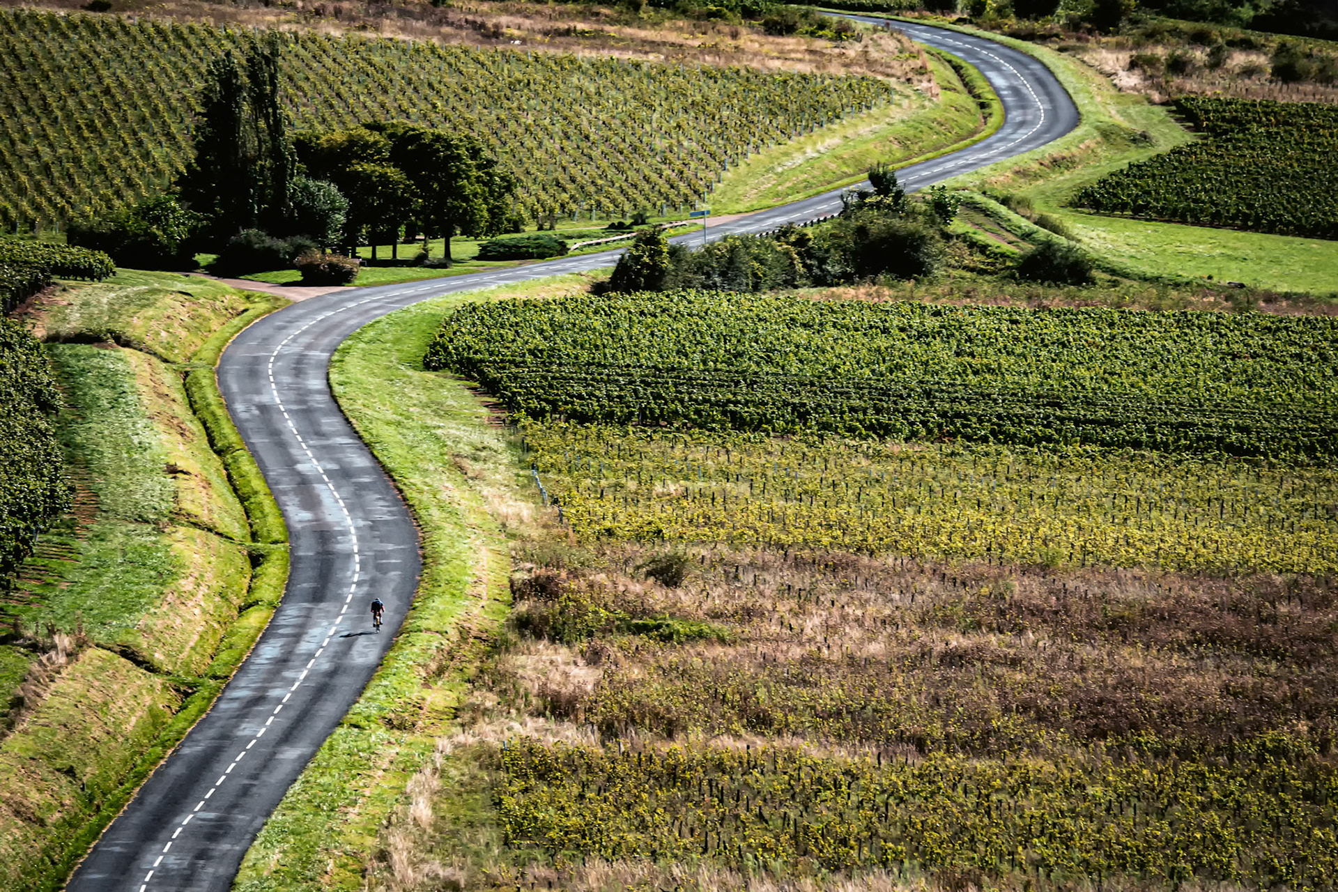 road to somewhere