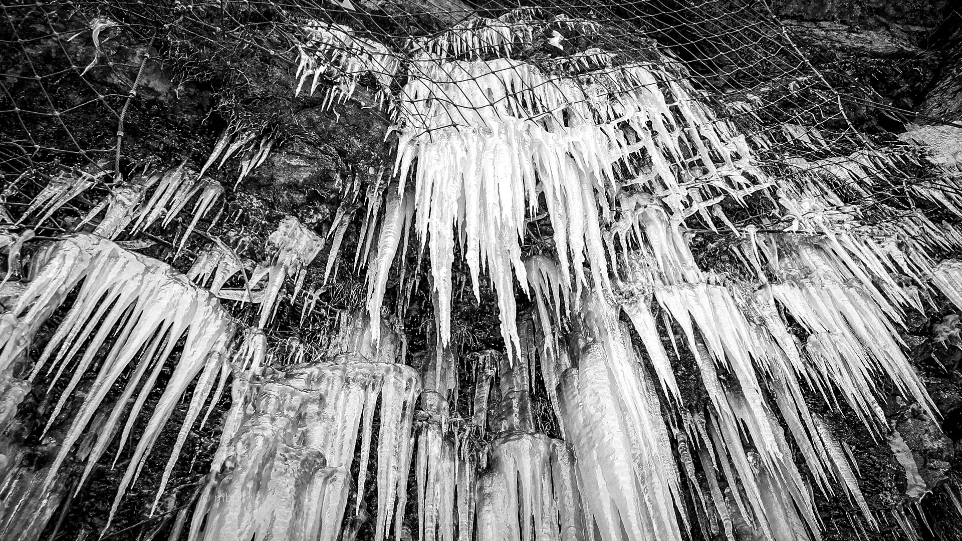icicle works