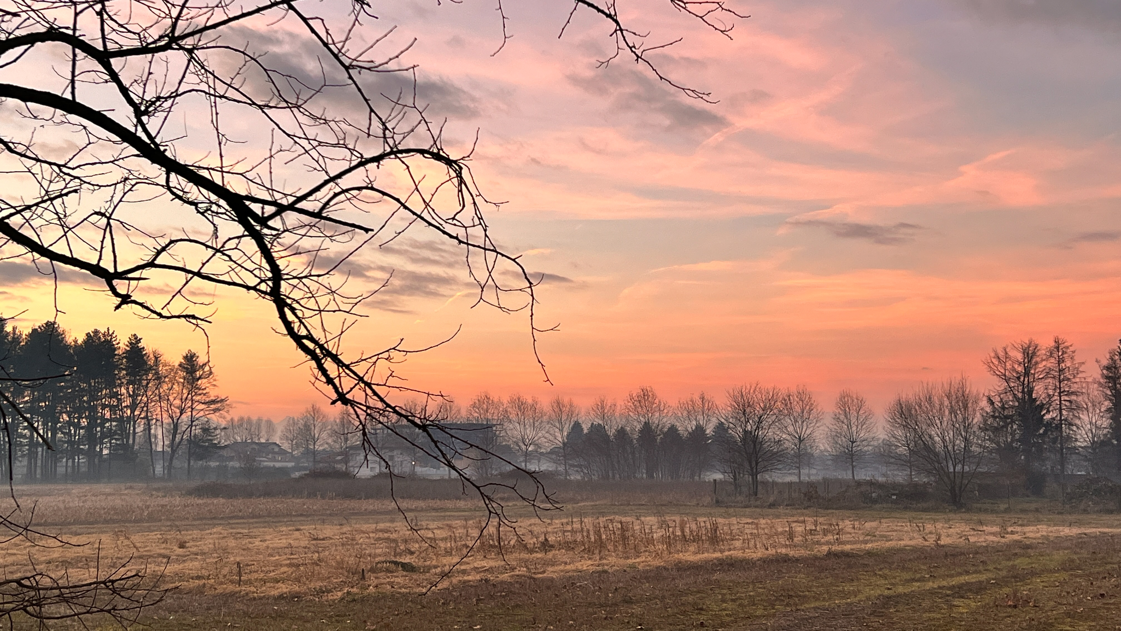 photography: winter landscapes