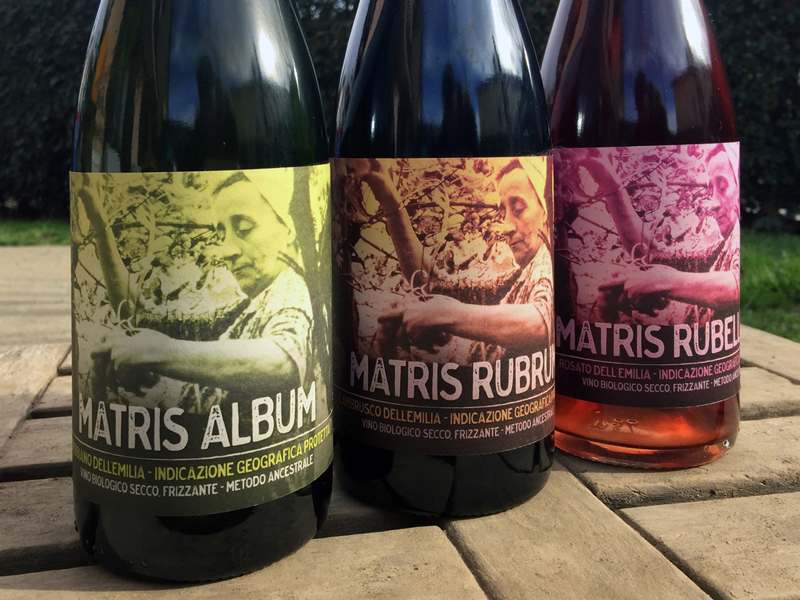 Branding & Packaging: Matris wine