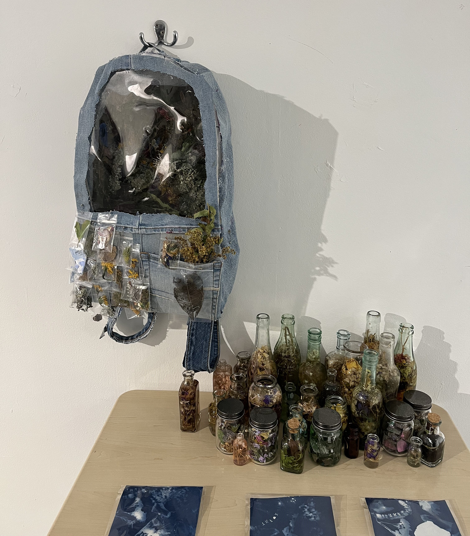 Backpack Project: Mapping Crabtree