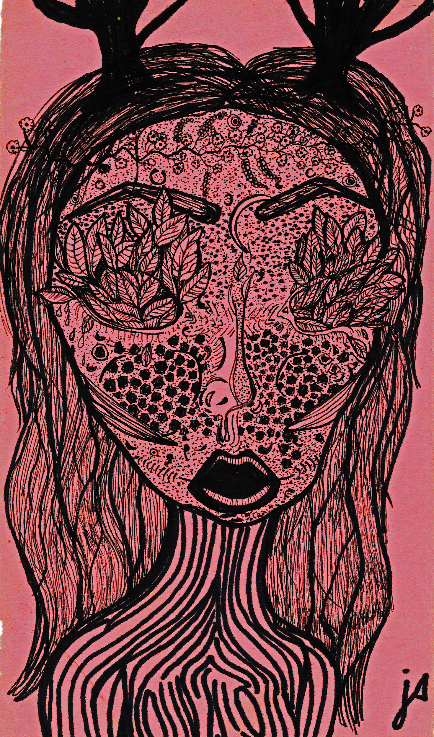 Plant Doe 2013