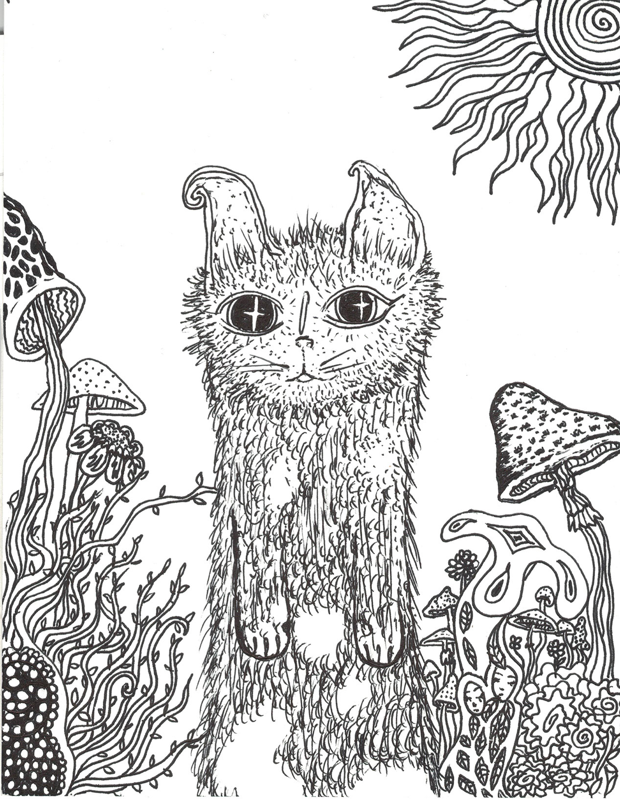 Wild World