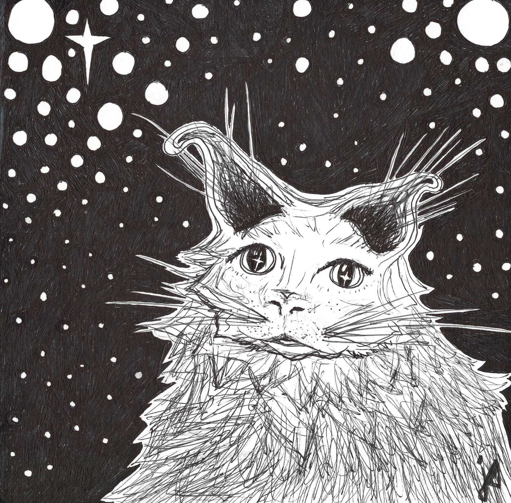 Nightlight Cat