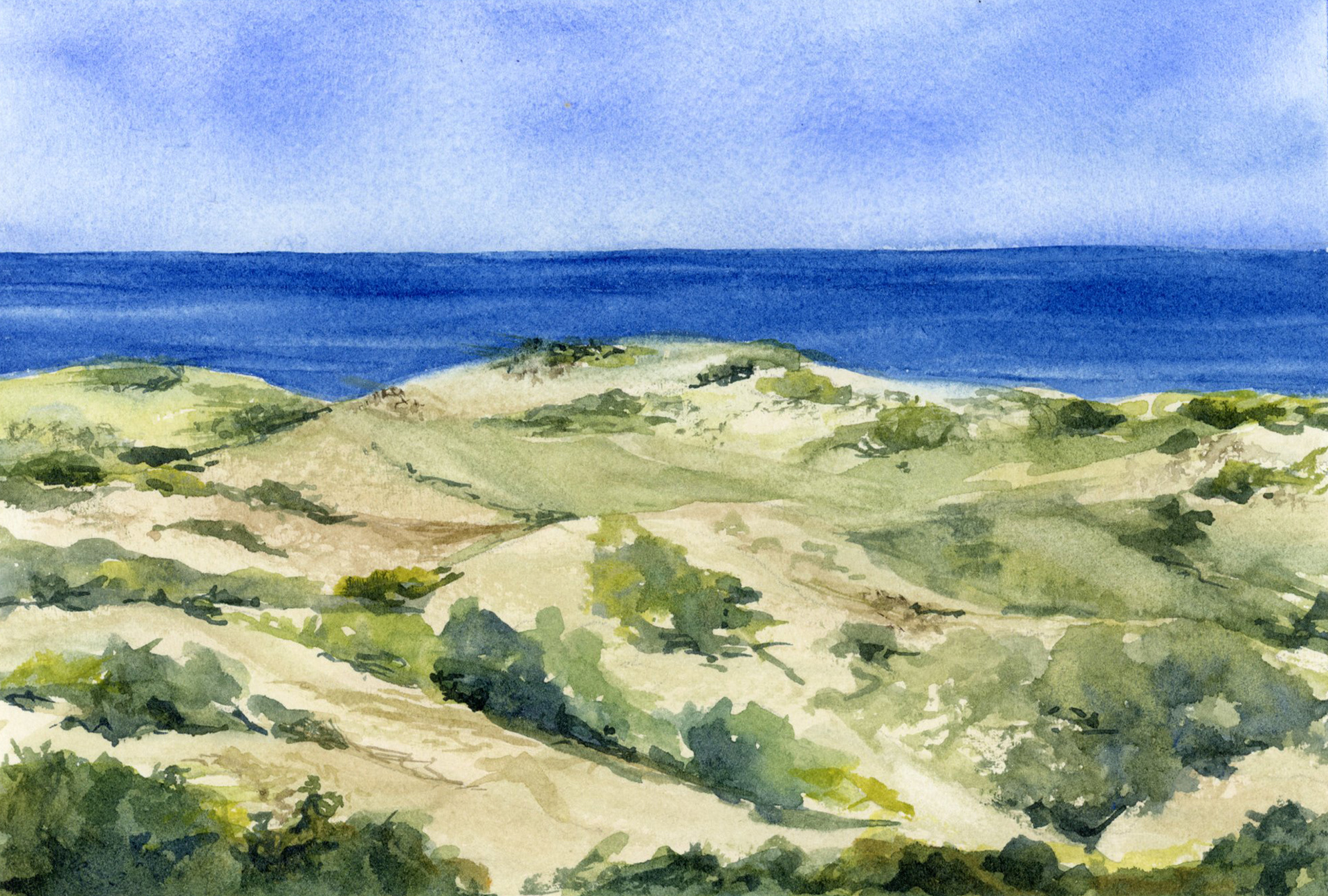 SOLD province lands • 5 x 7