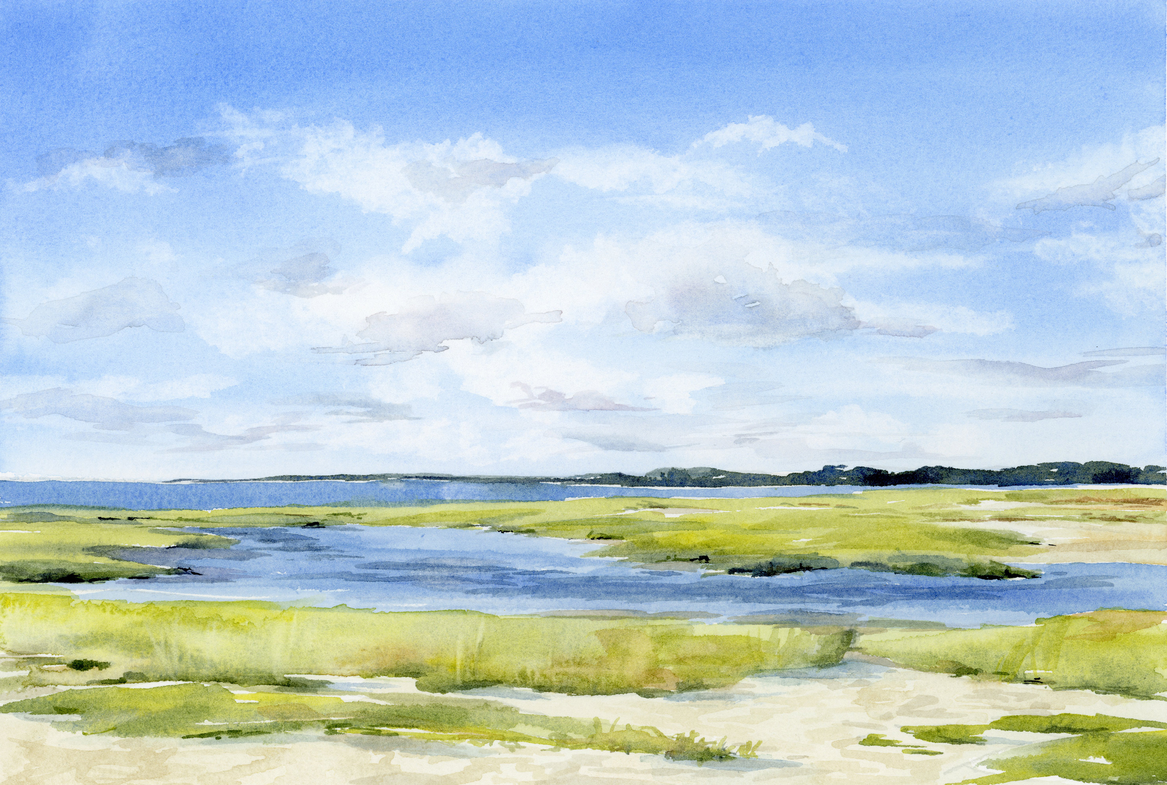 SOLD skaket beach • 7 x 10