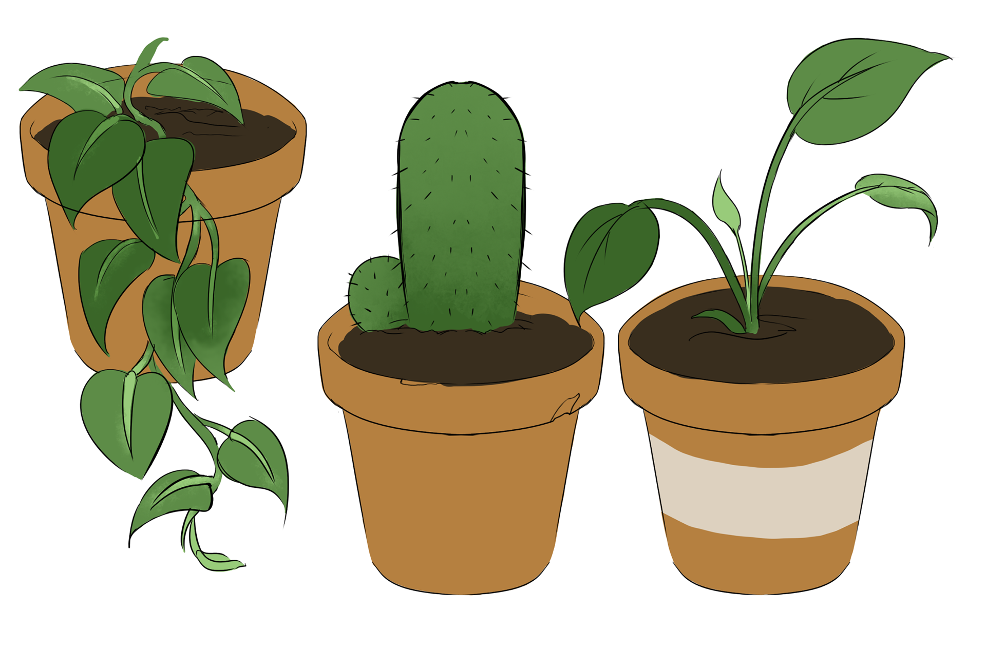Houseplants Concept Art