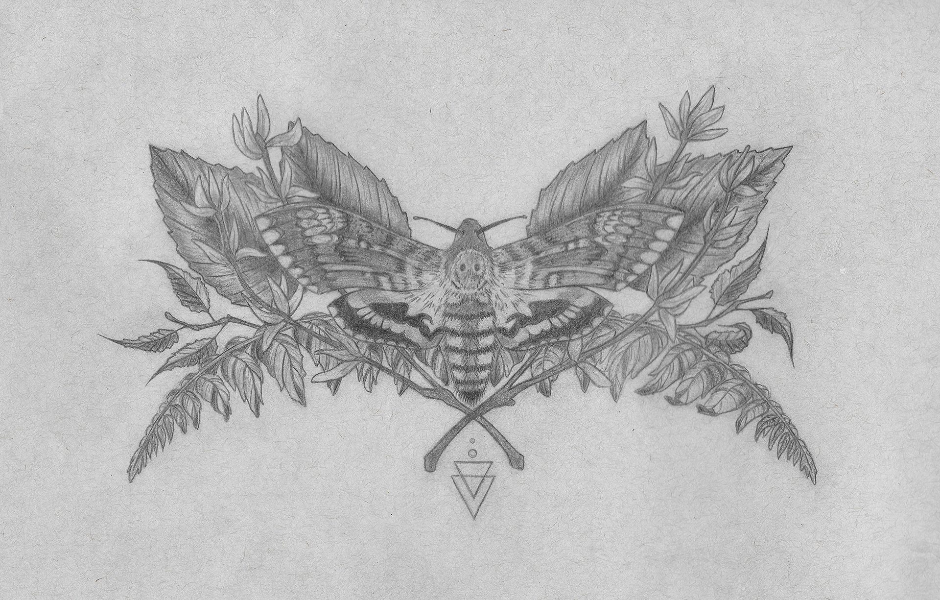 Death's Head Hawk Moth - Tattoo Commission - October 2016