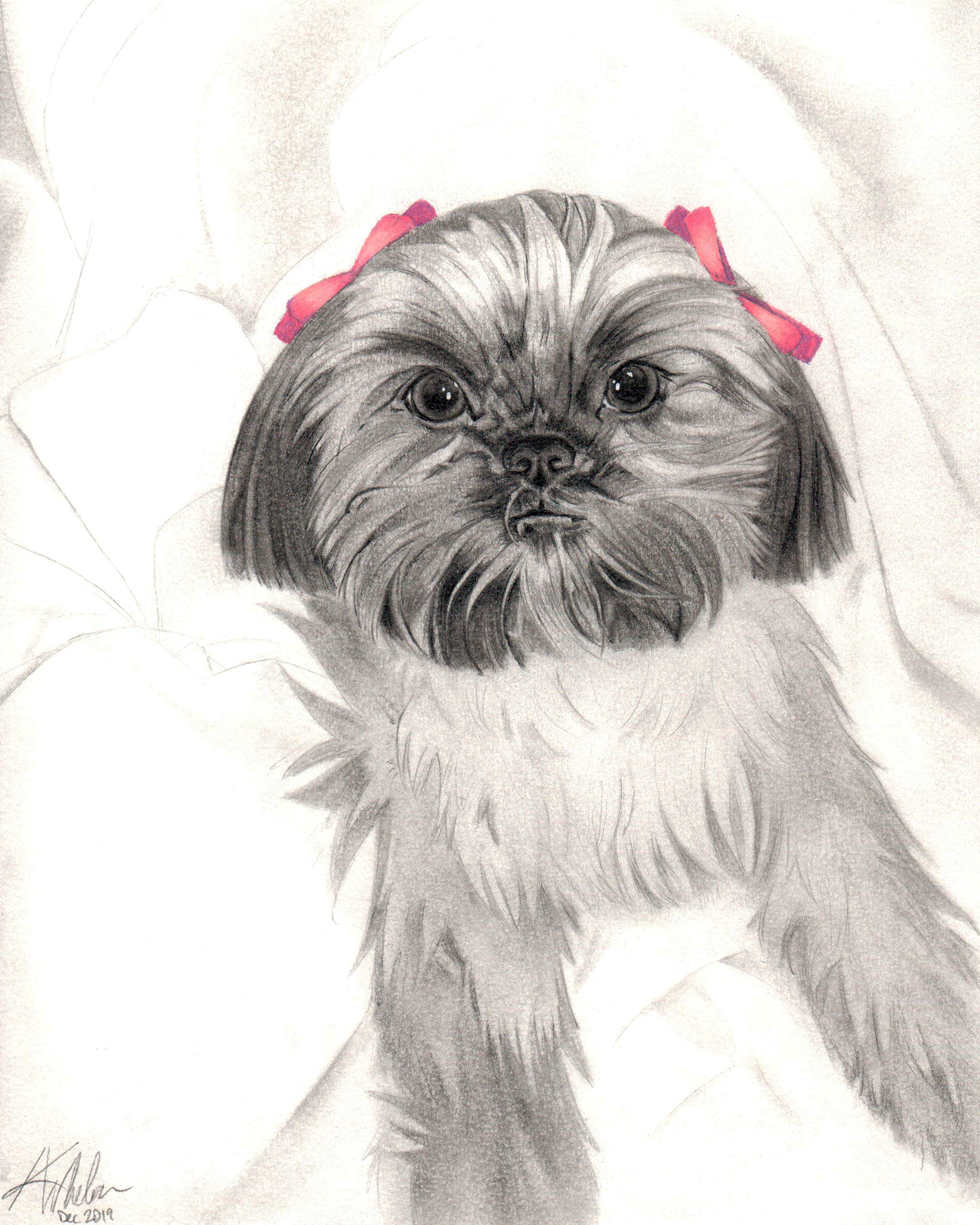 Coco - Pencil and Coloured Pencil Commission - September 2019