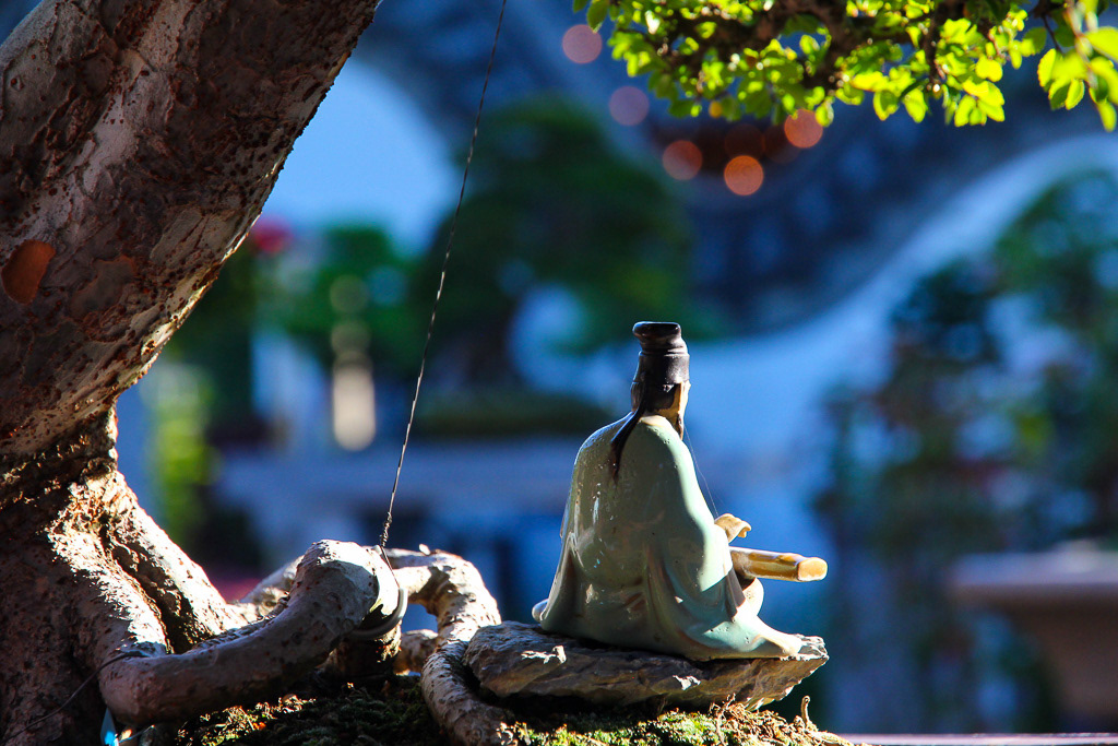 Chinese Garden