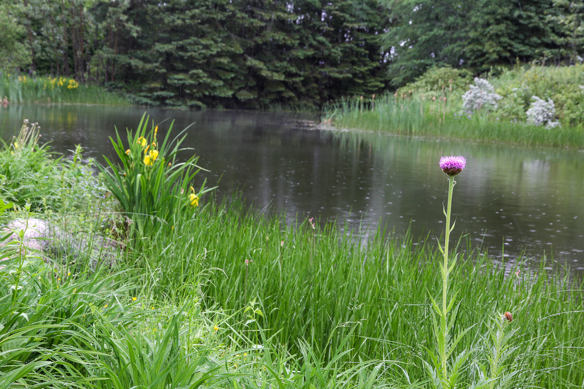 Reford Gardens