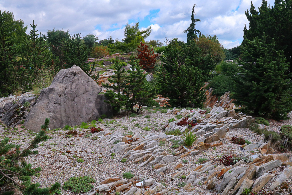 Alpine Garden