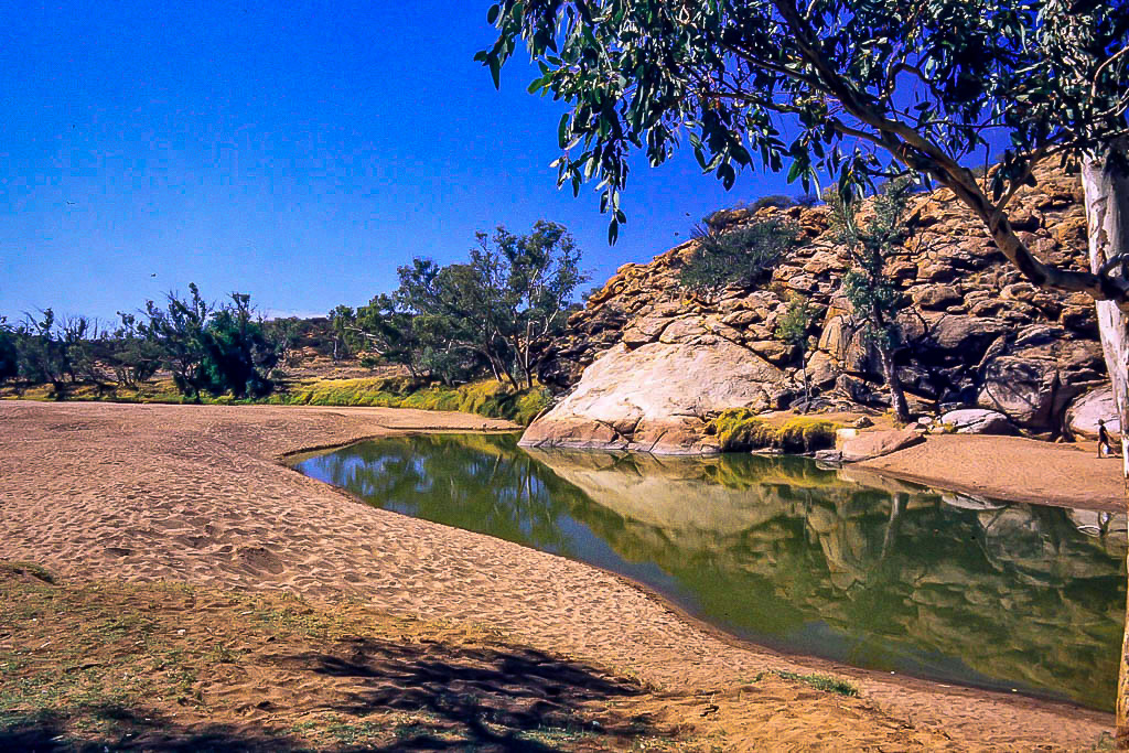 The spring at Alice Springs