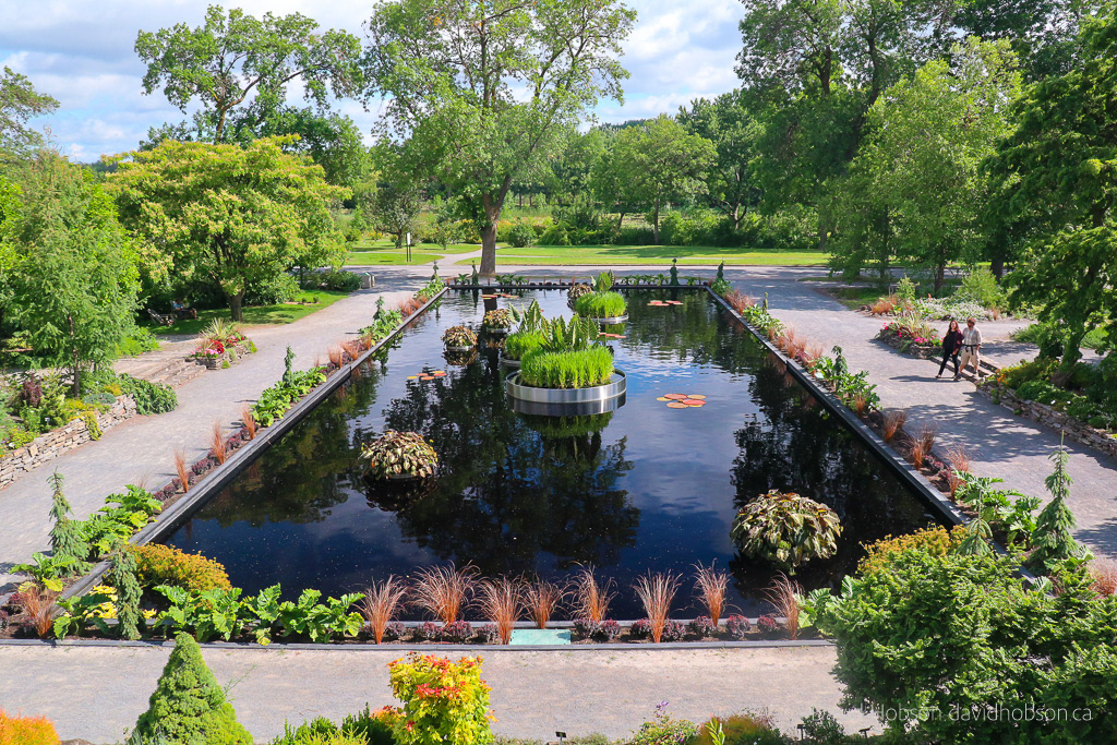 Water Garden