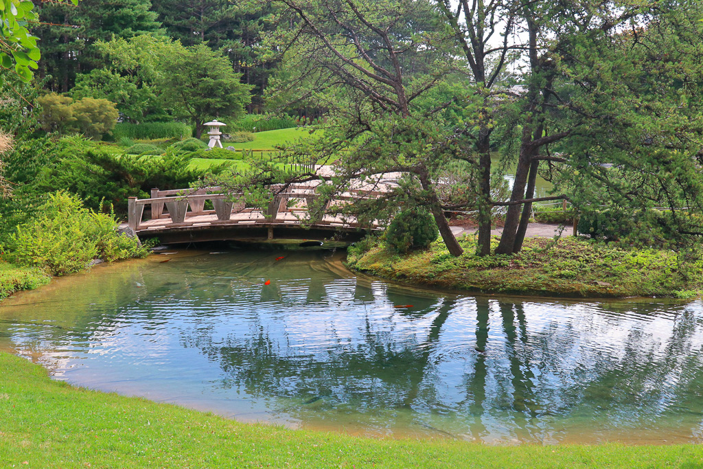 Japanese Garden