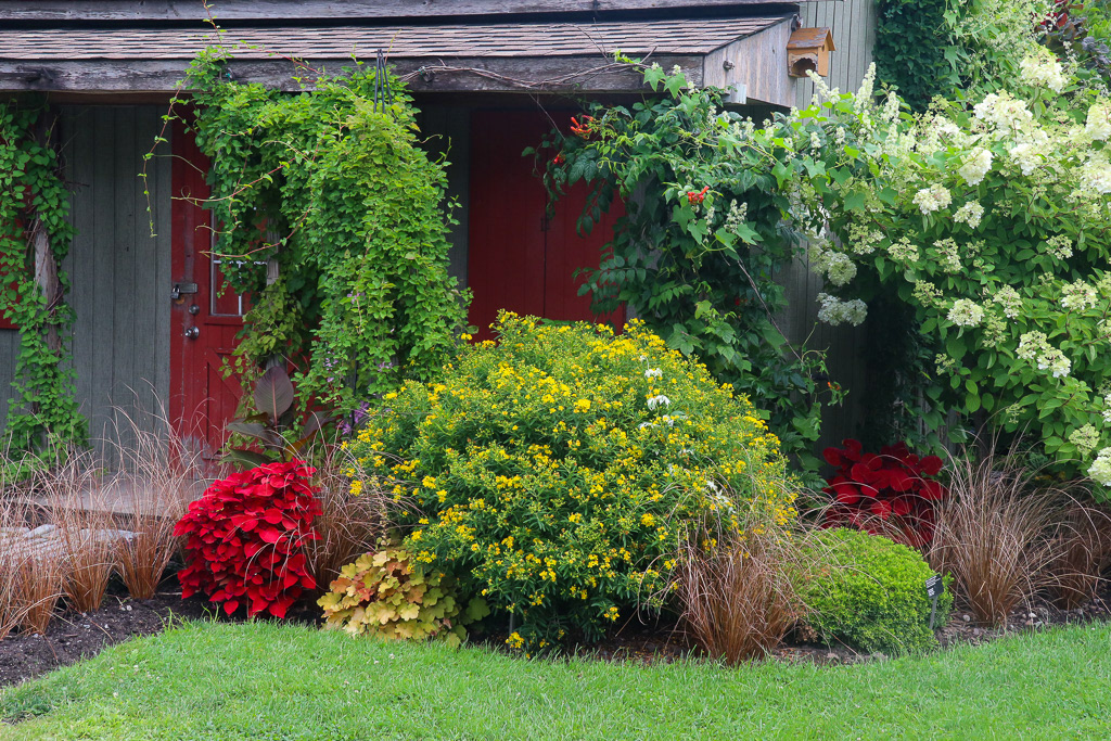 Perennial Garden