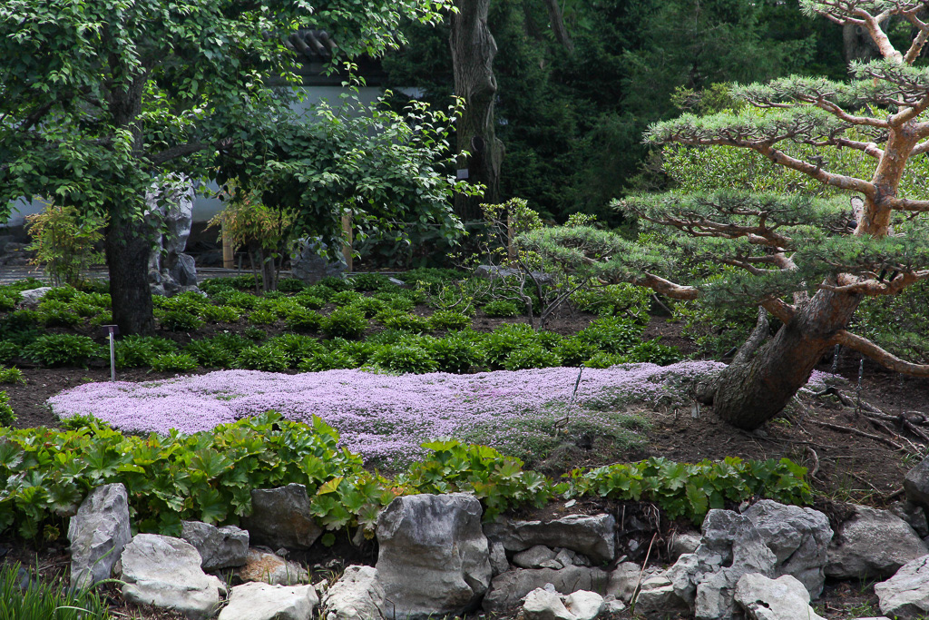 Japanese Garden