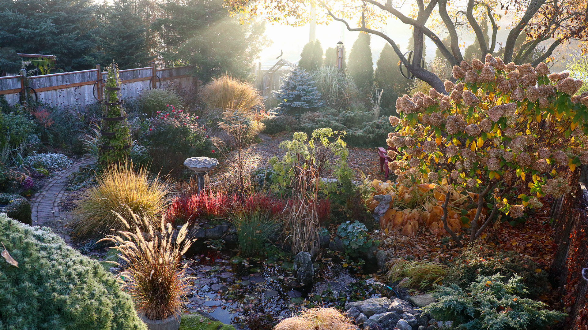 Autumn