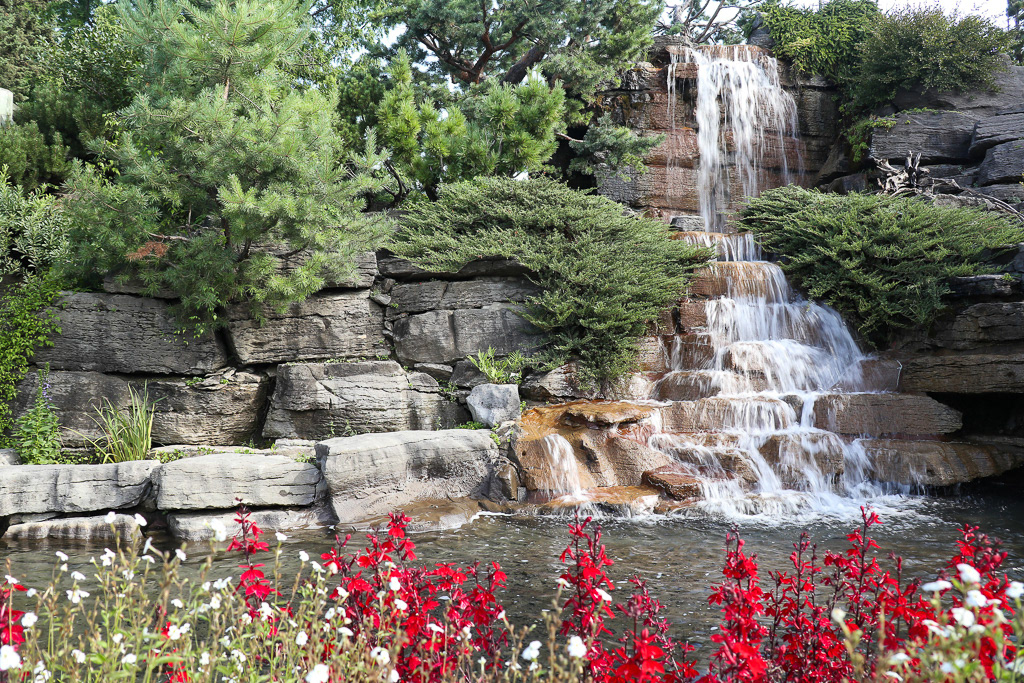 Alpine Garden