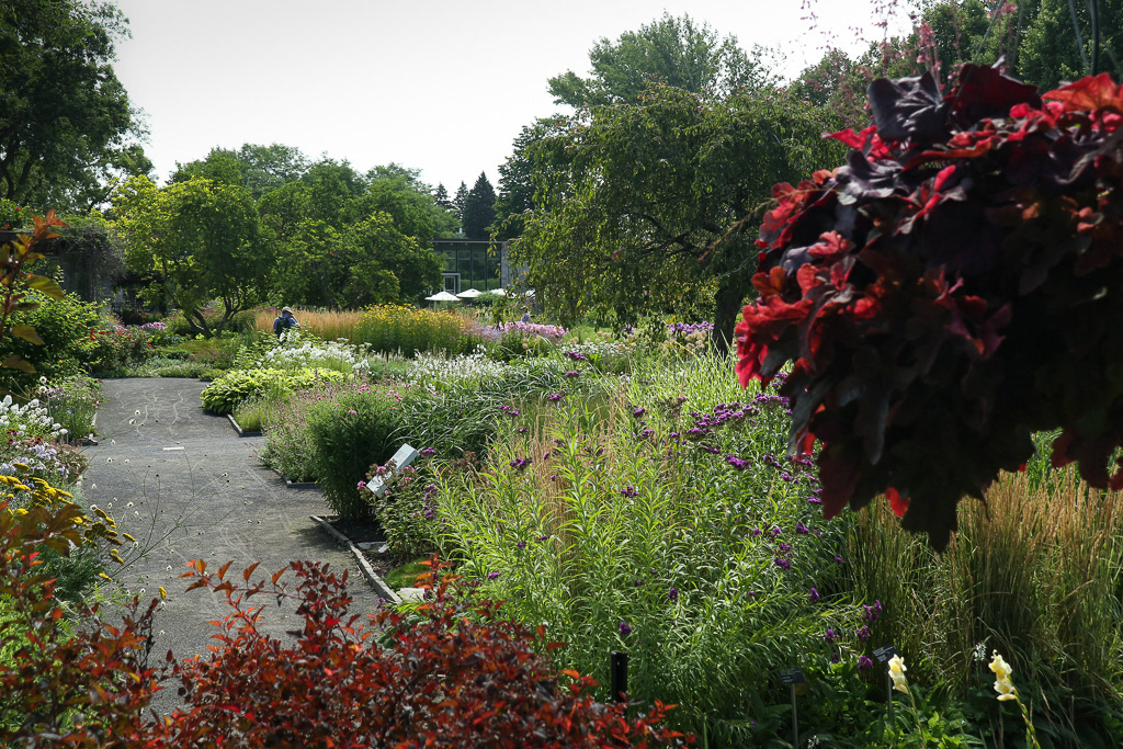 Perennial Garden