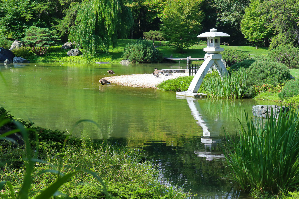 Japanese Garden