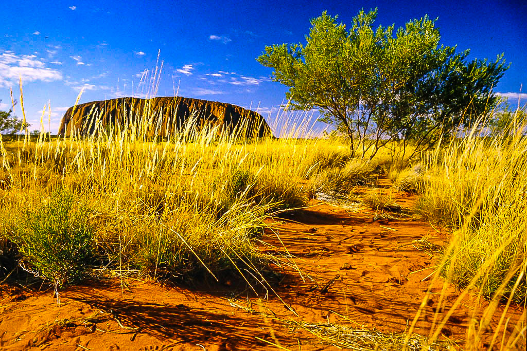 Uluru / Ayers Rock