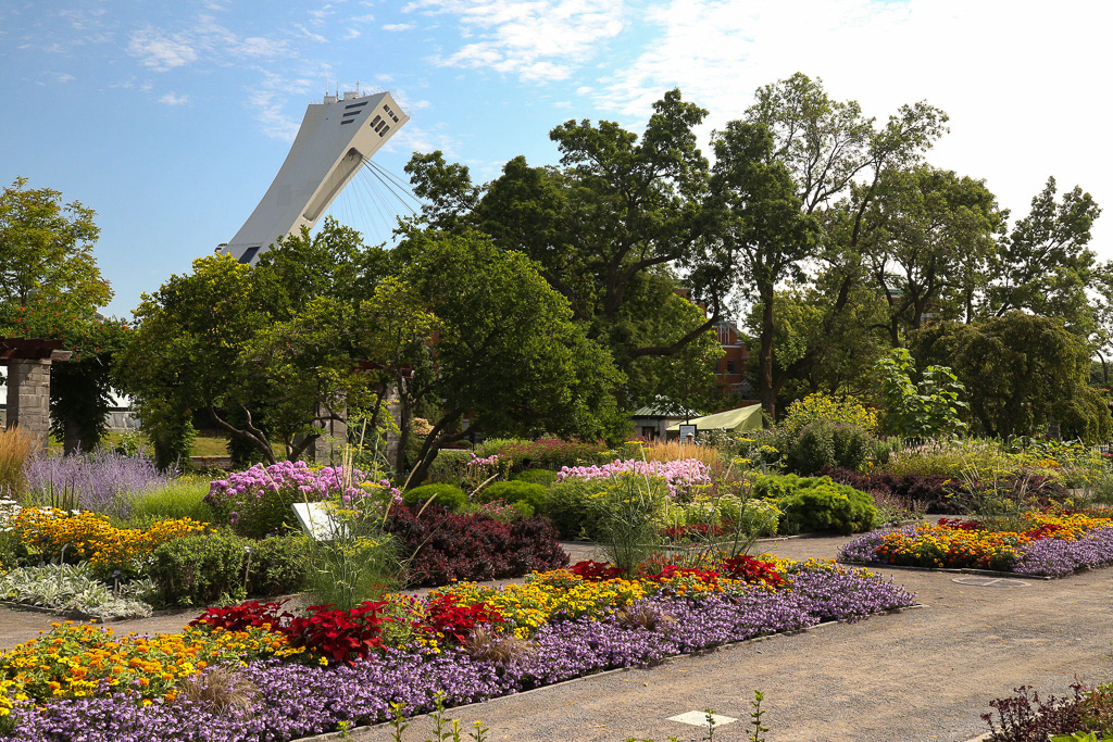Perennial Garden
