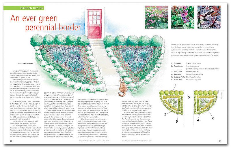 Garden bed illustration and page layout for Ornamentals & Edibles magazine.