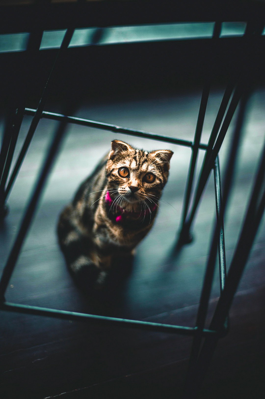 Chiang Rai, Thailand