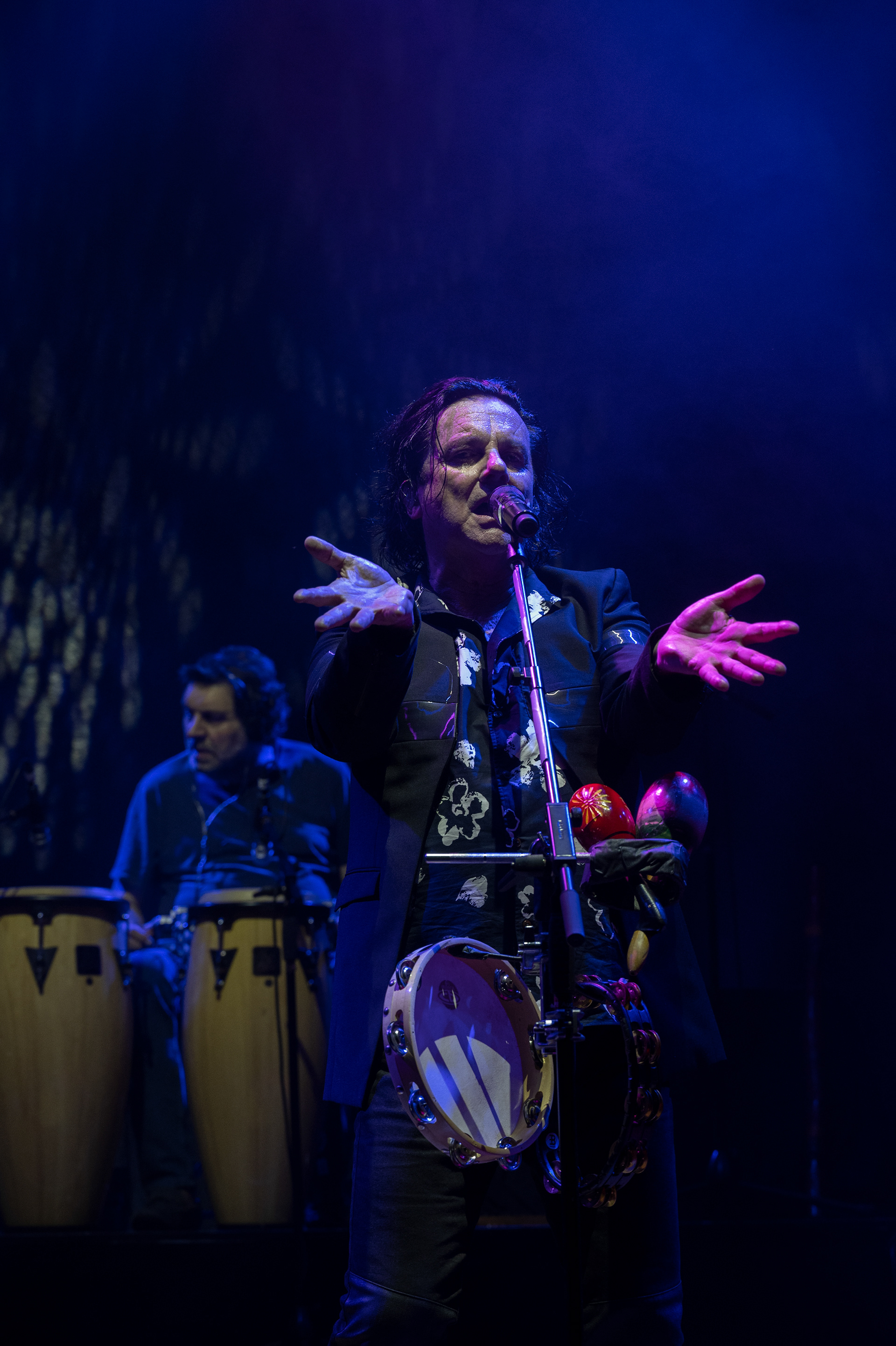 Luís Jardim, Steve Hogarth