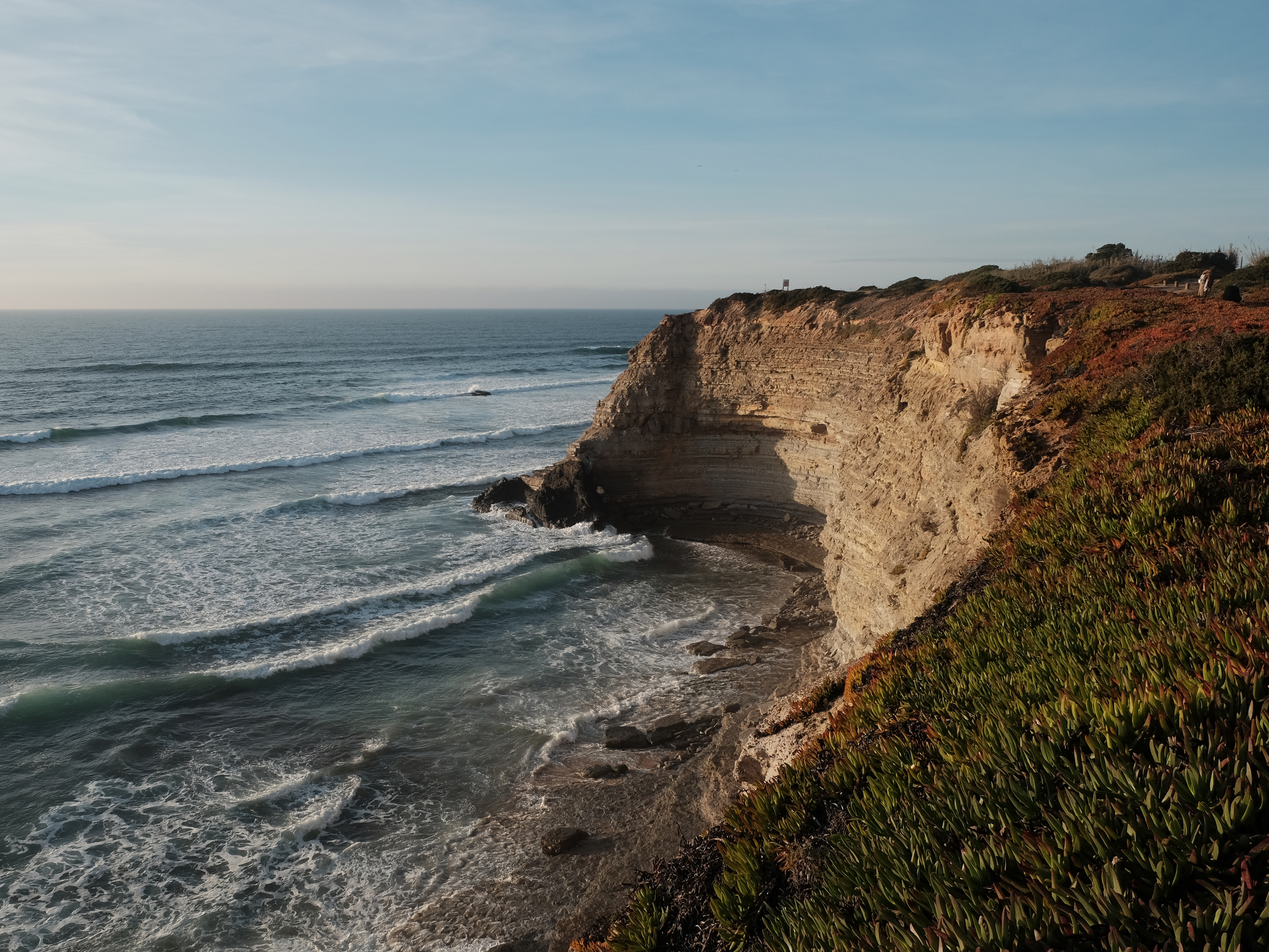 Fujifilm X-T10 ~ Fujinon XF 18-55mm f/2.8-4 R LM OIS ~ 20220103