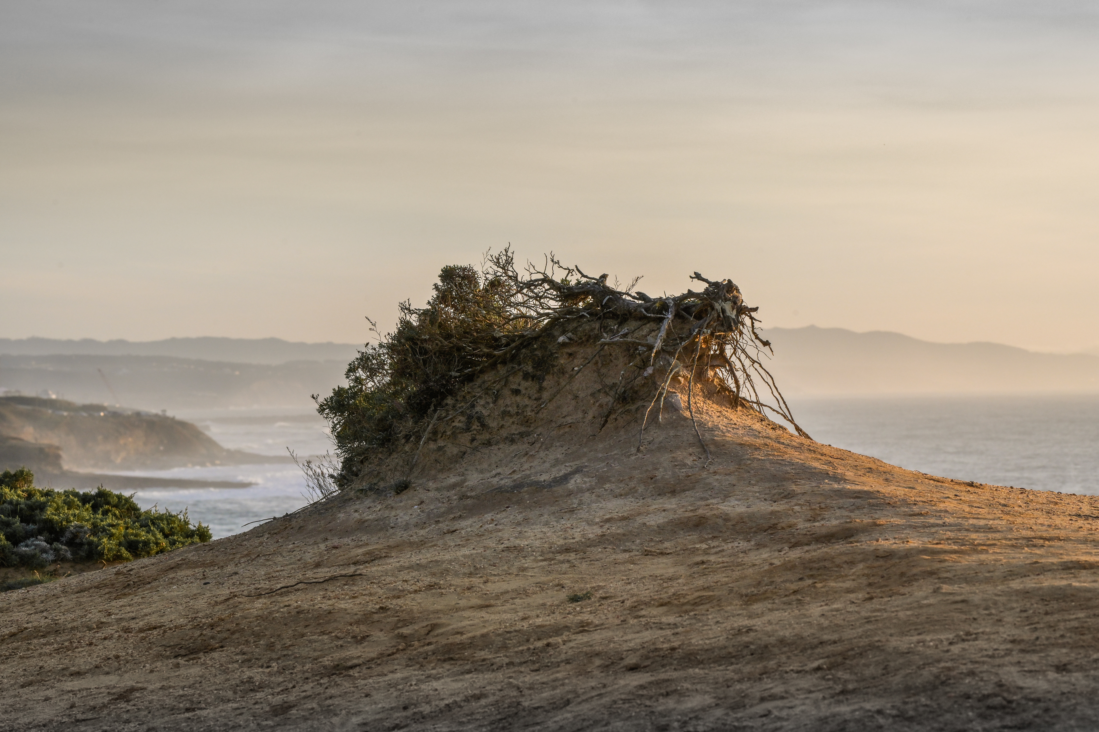 Nikon Z7 ~ Tamron 70-200mm f/2.8 Di VC USD G2 ~ 20220103