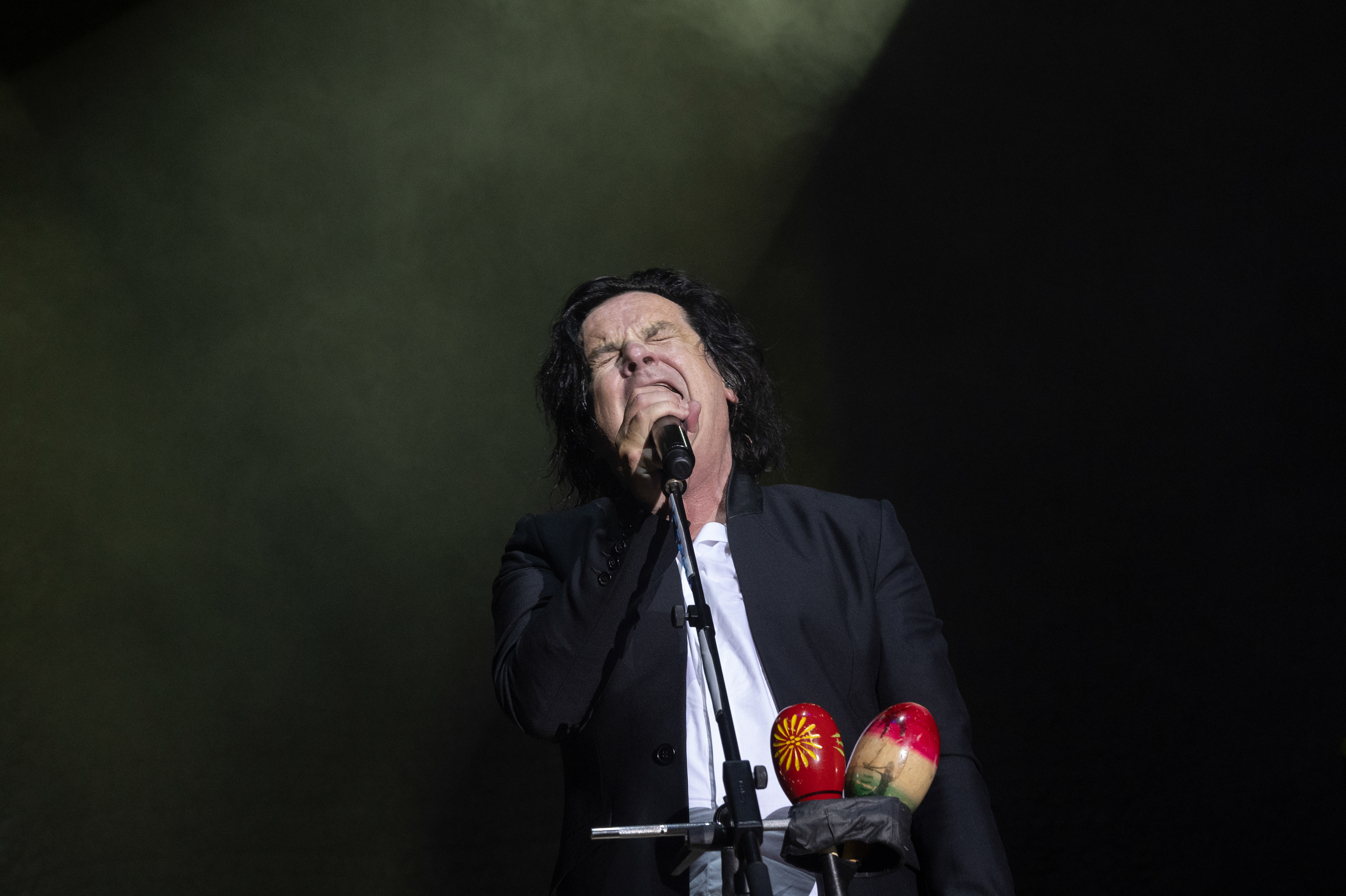 Steve Hogarth