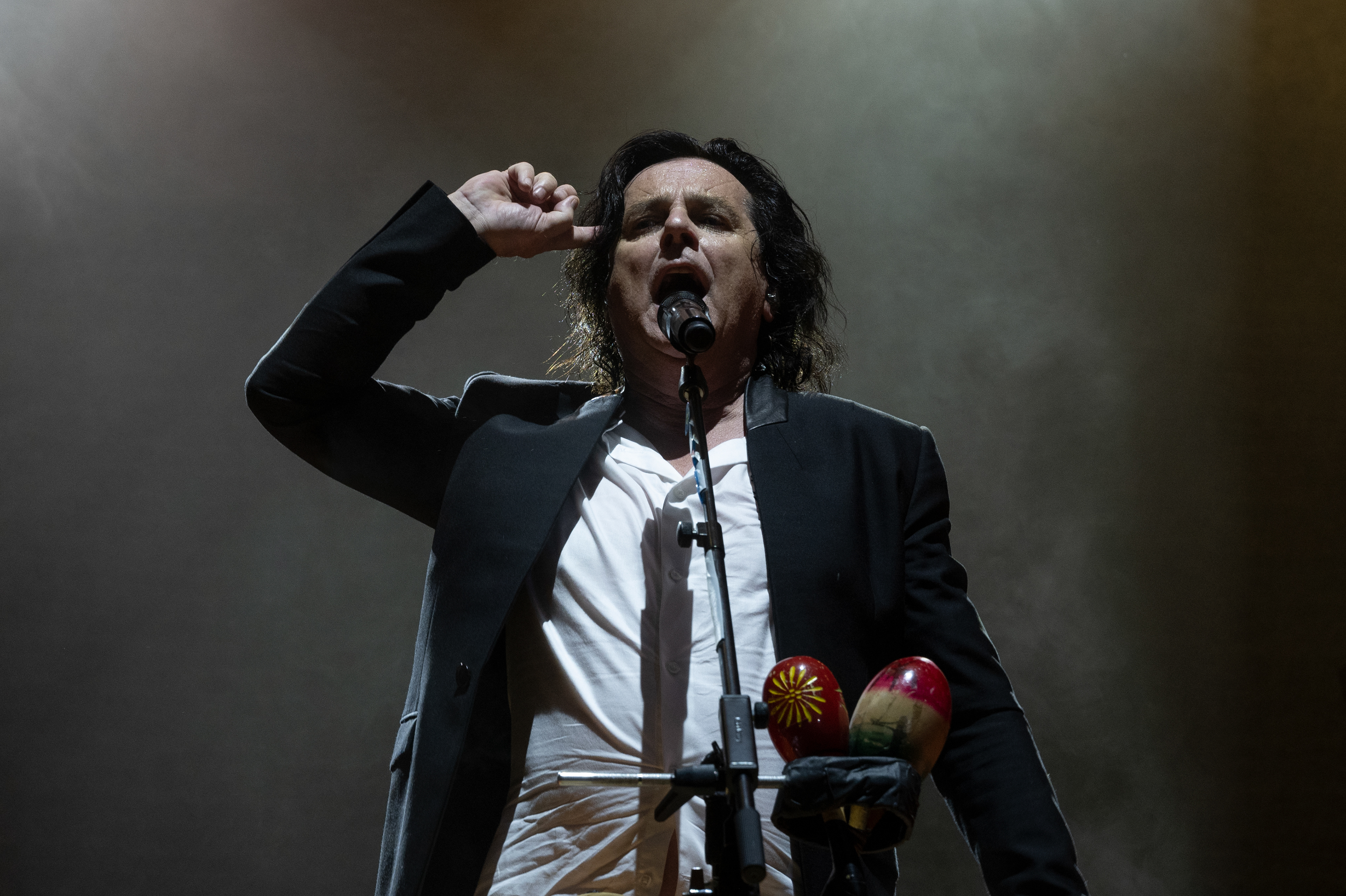 Steve Hogarth