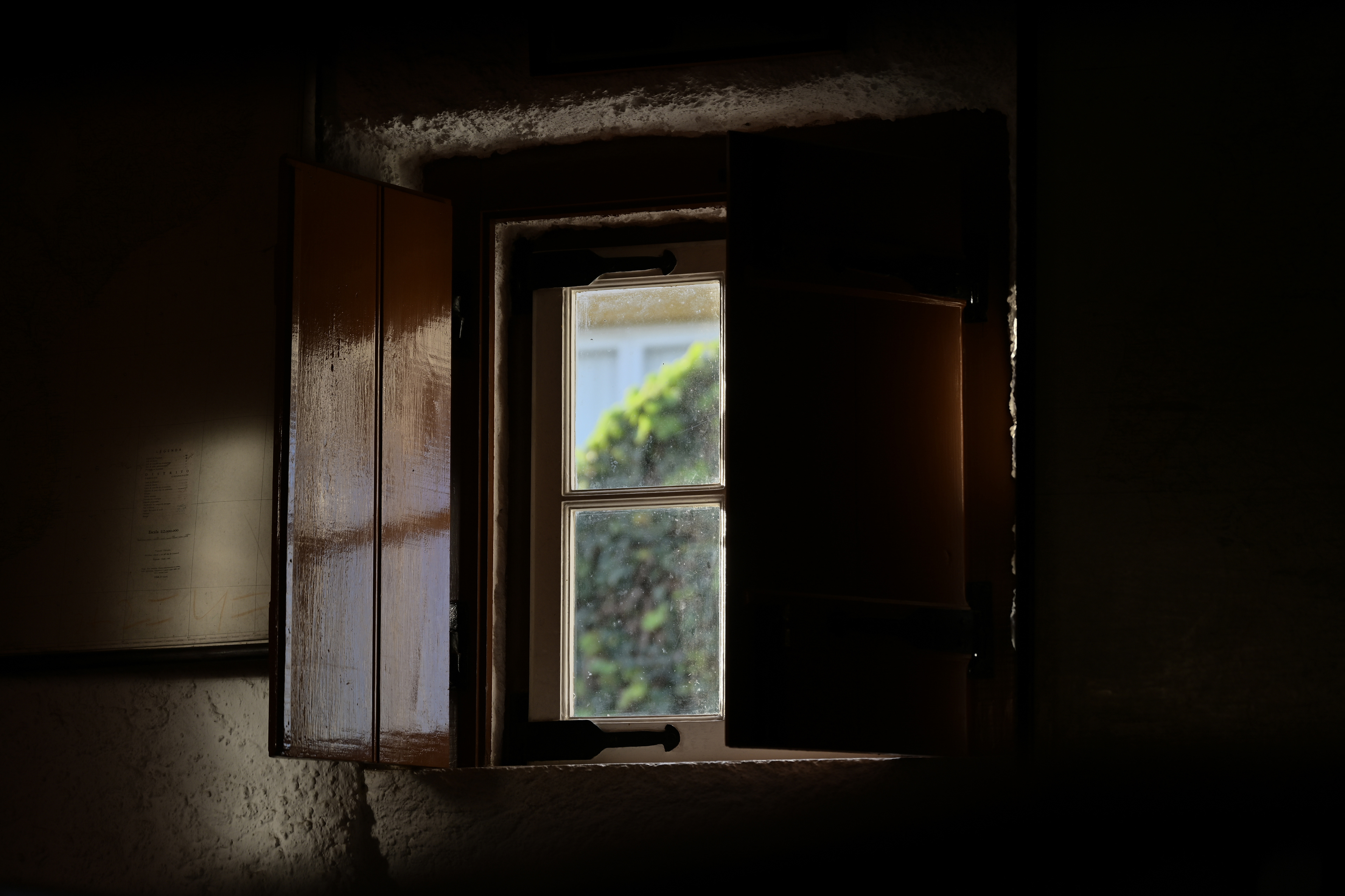 Nikon Z7 ~ Nikkor Z 24-70mm f/2.8 S ~ 20230121