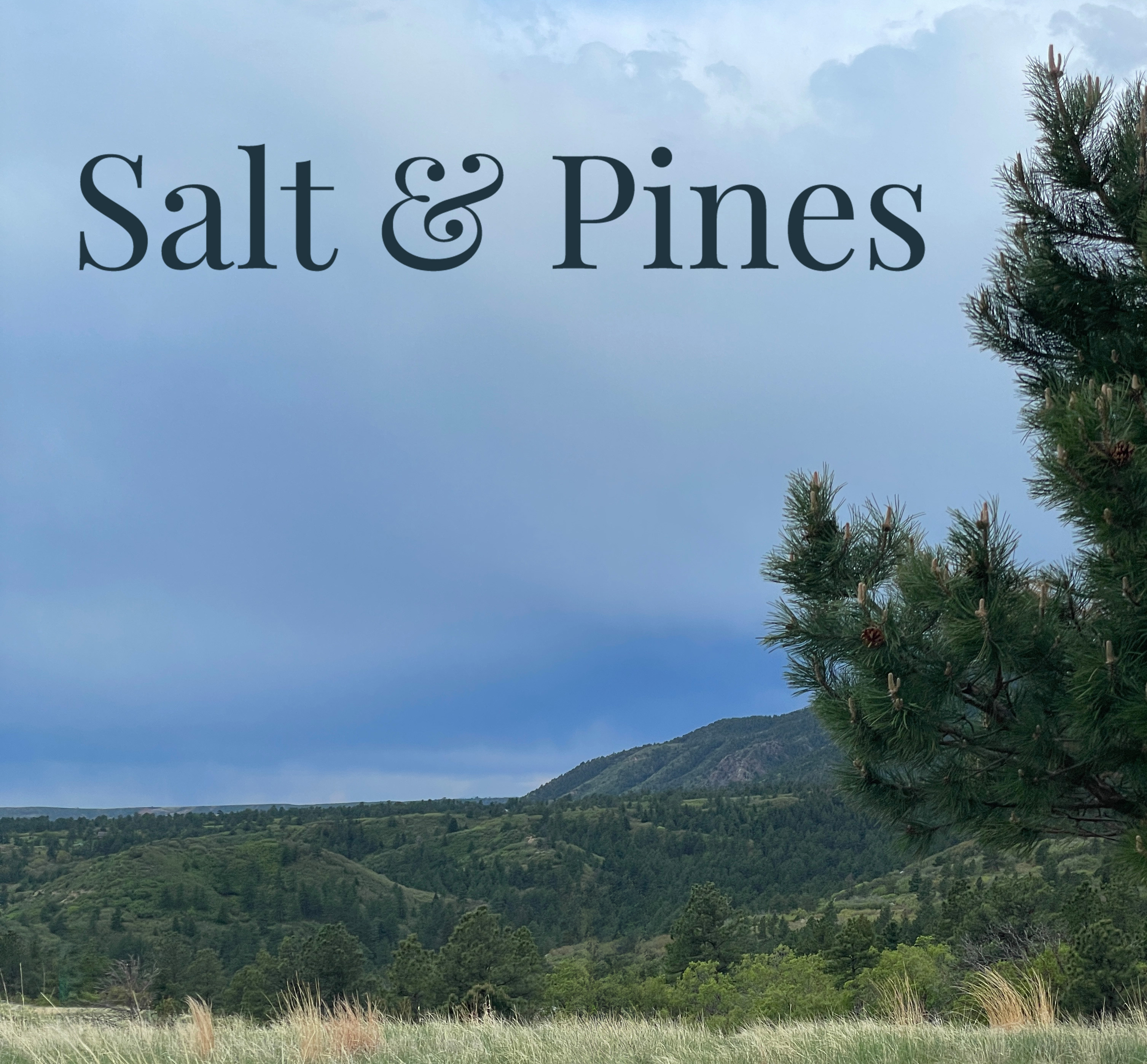 Salt & Pines