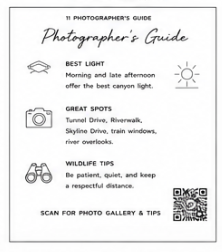 share your photos
