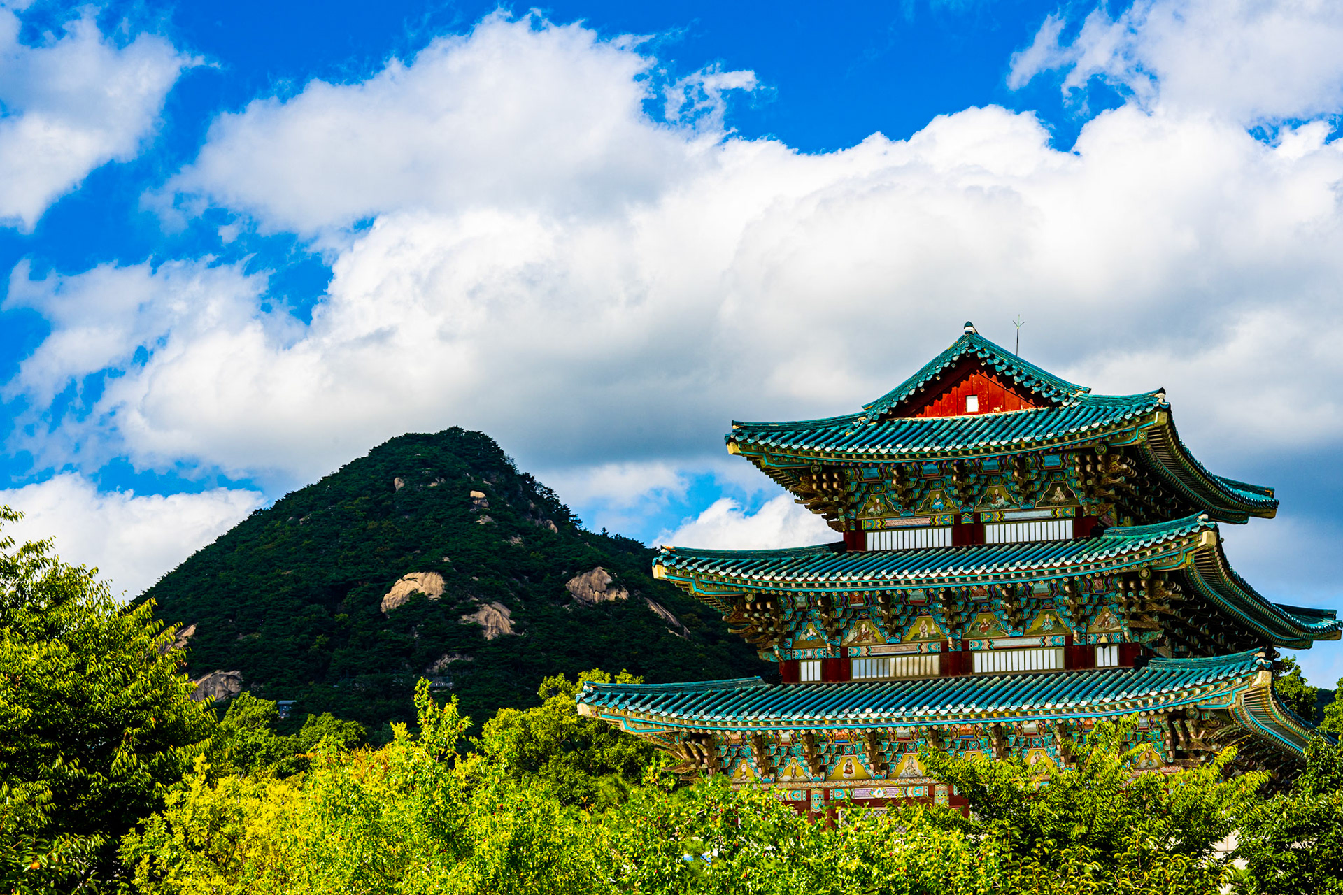 Seoul, South Korea · September 23, 2022 · Nikon Z 9 · Nikkor Z 85 mm f/1.8 S · 1/200 sec f/16 ISO 160