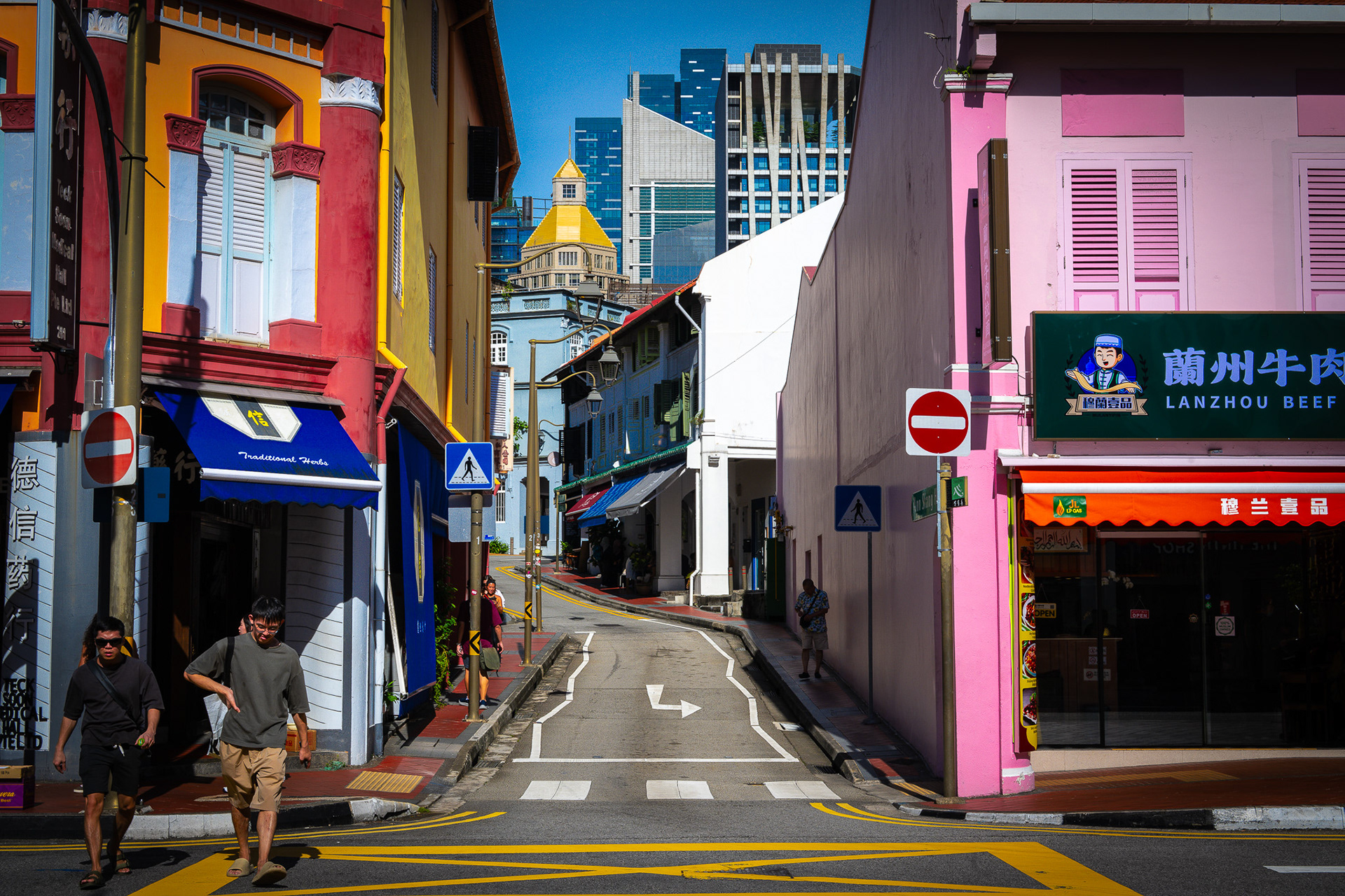 Singapore · May 24, 2025 · Nikon Z 9 · Nikkor Z 50mm f/1.2 S · 1/250 sec f/16 ISO 125