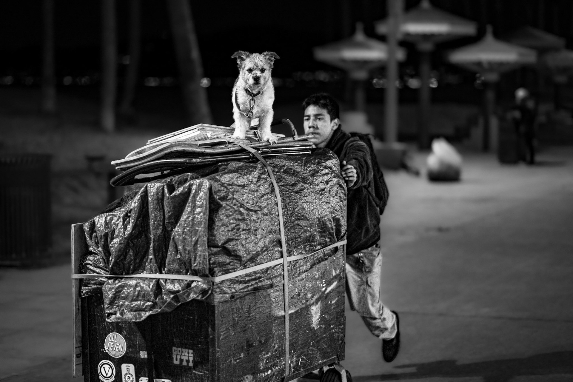 Venice Beach, California, USA · November 11, 2022 · Nikon Z 9 · Nikkor Z 85 mm f/1.8 S · 1/100 sec f/1.8 ISO 2200