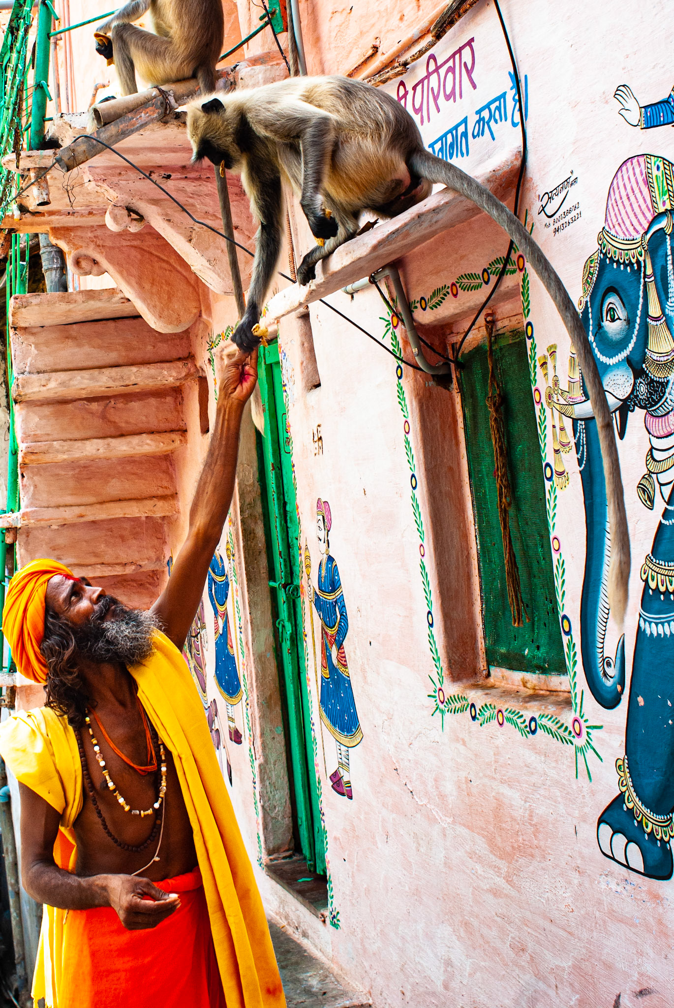 Udaipur, Rajasthan, India · July 7, 2010 · Nikon D200 · 24.0 mm f/2.8 · 1/250 sec f/6.3 ISO 100