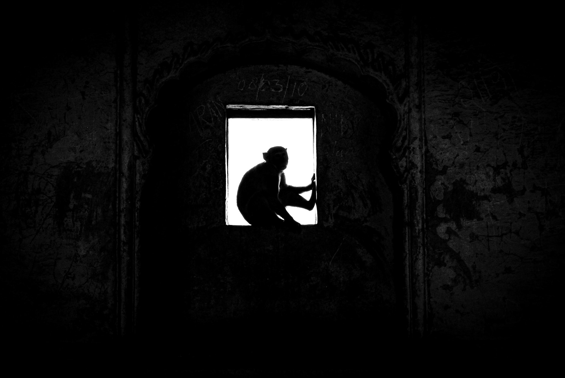 Udaipur, Rajasthan, India · July 11, 2010 · Nikon D200 · 1/40 sec f/13 ISO 125